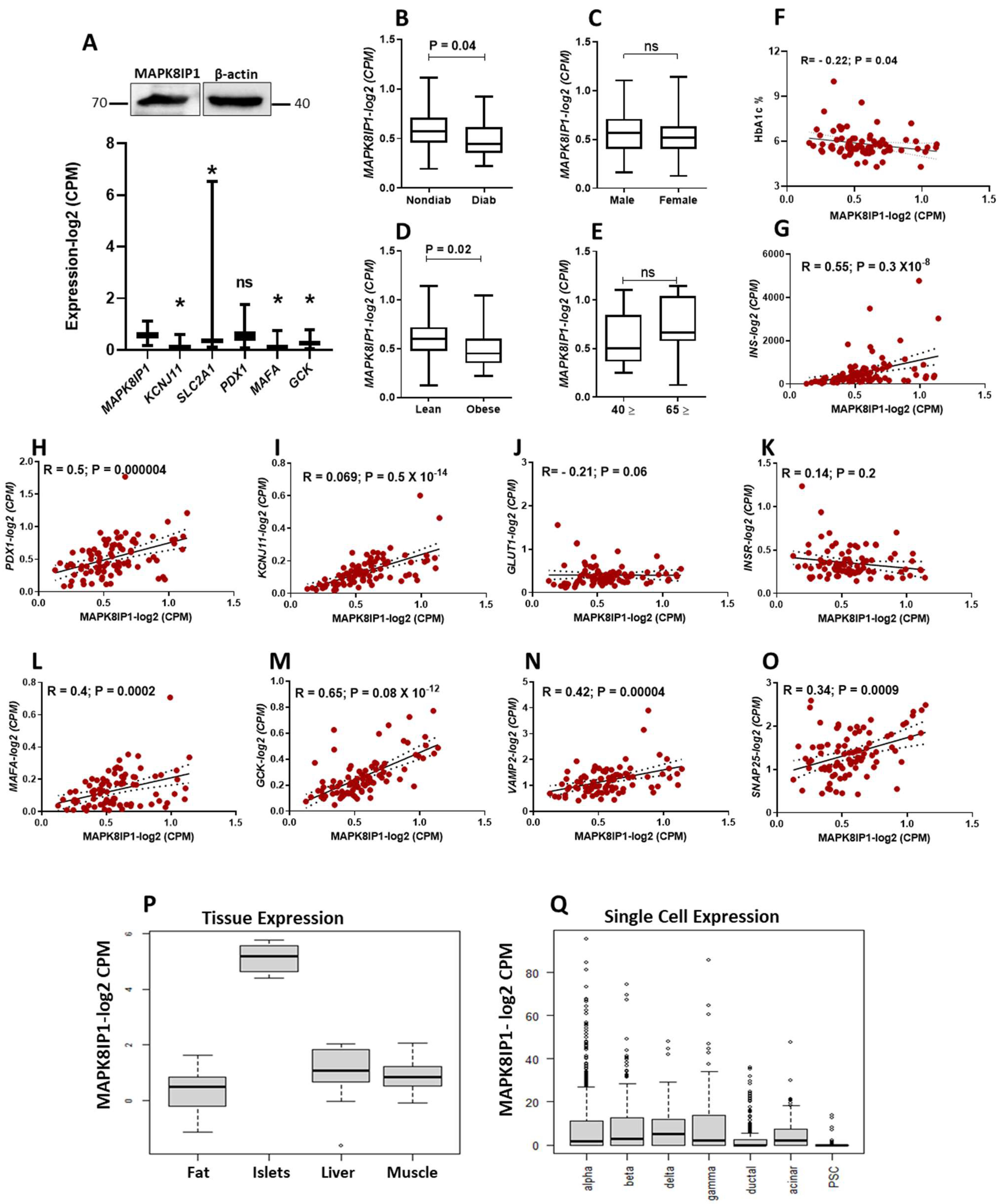 Metabolites 13 00307 g001 Metabolites 13 00307 g001