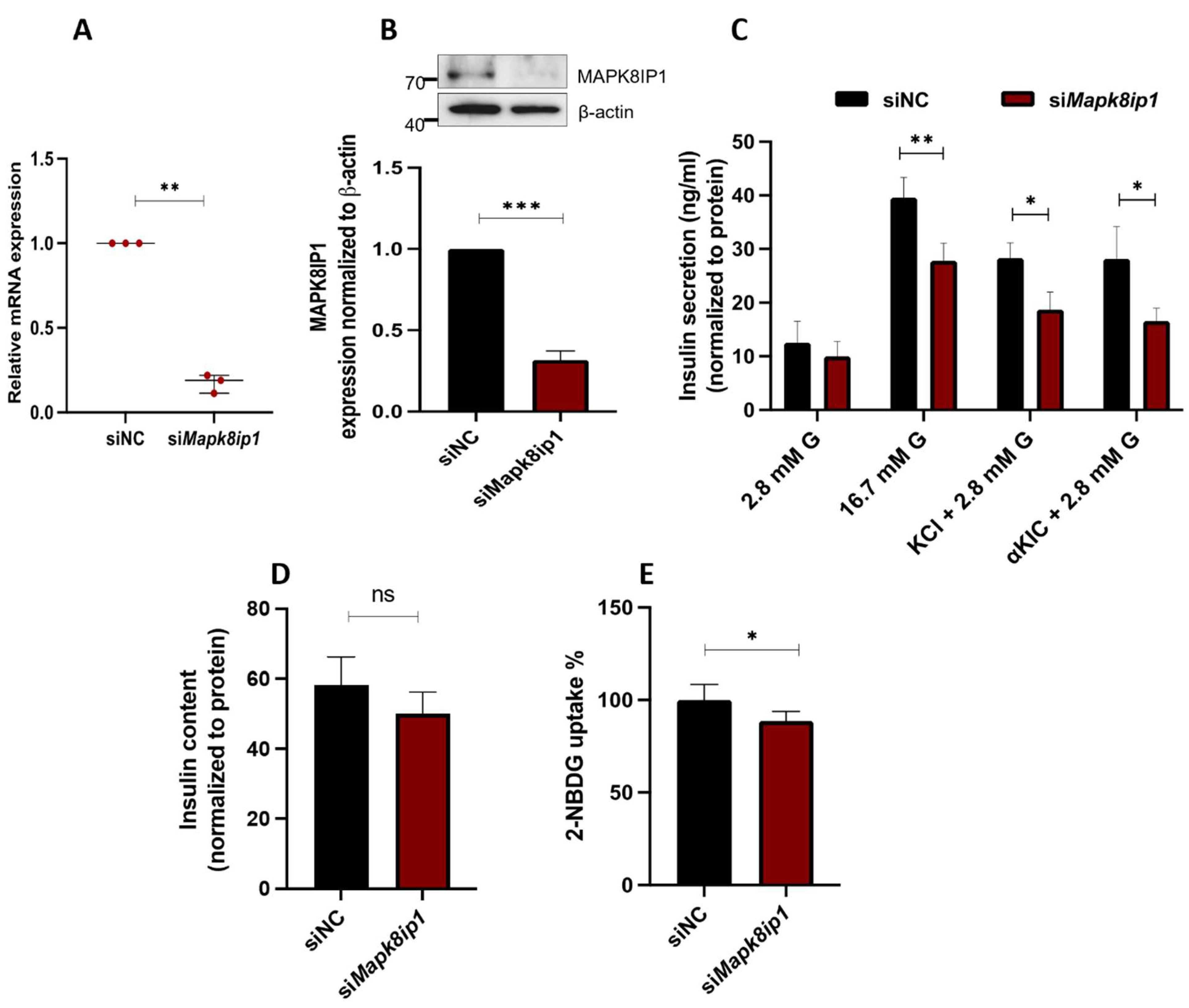 Metabolites 13 00307 g002 Metabolites 13 00307 g002
