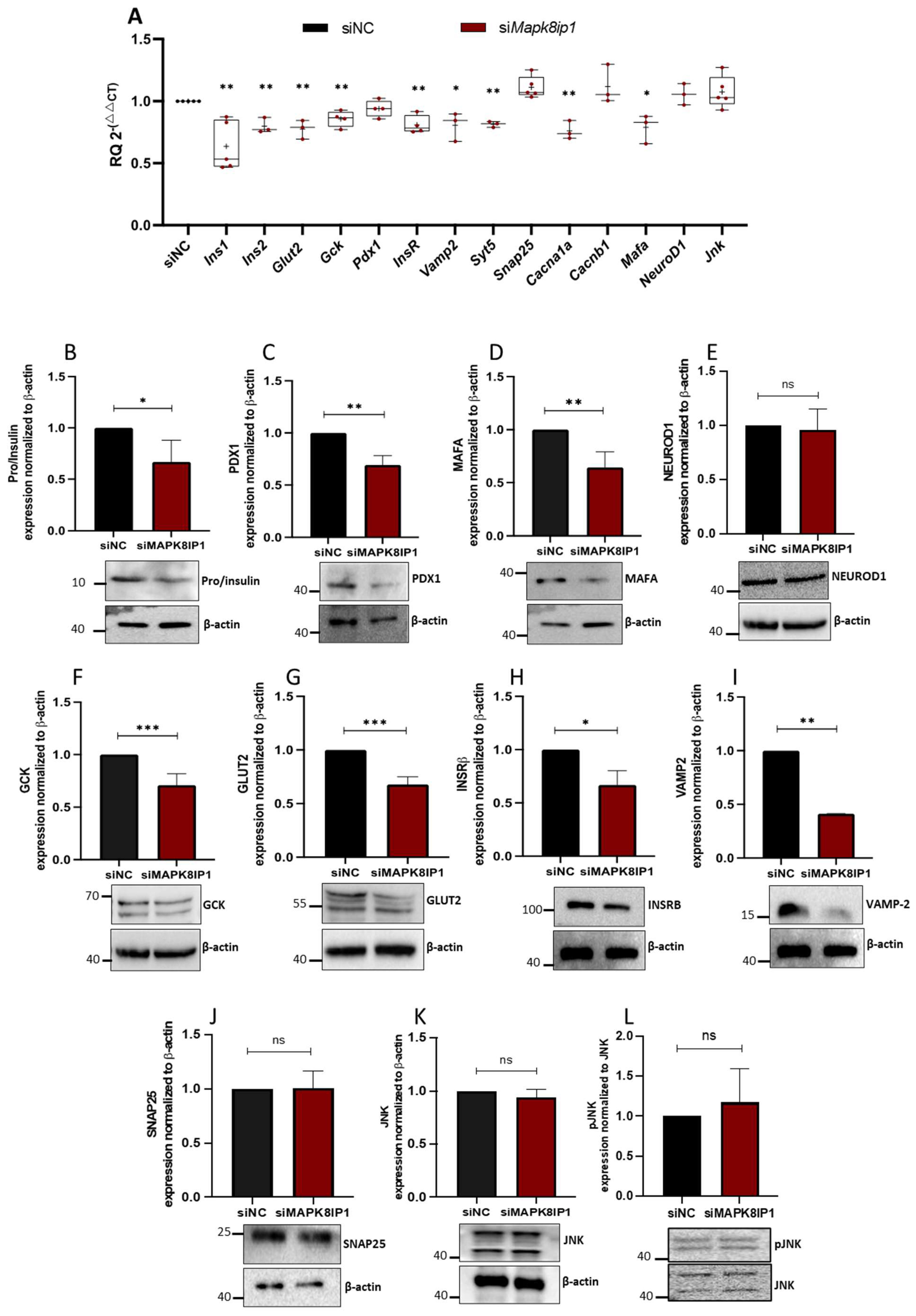 Metabolites 13 00307 g004 Metabolites 13 00307 g004