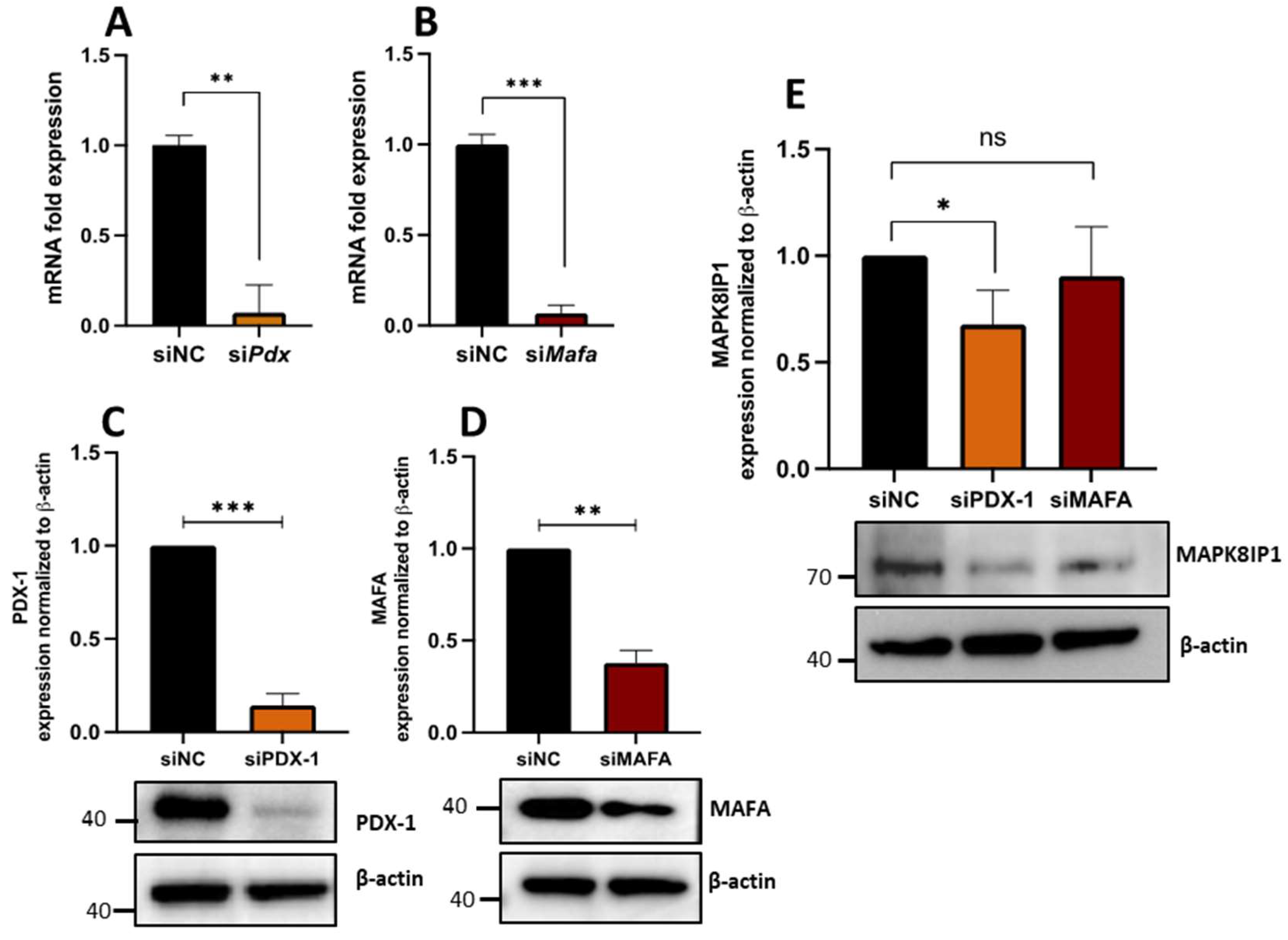 Metabolites 13 00307 g005 Metabolites 13 00307 g005
