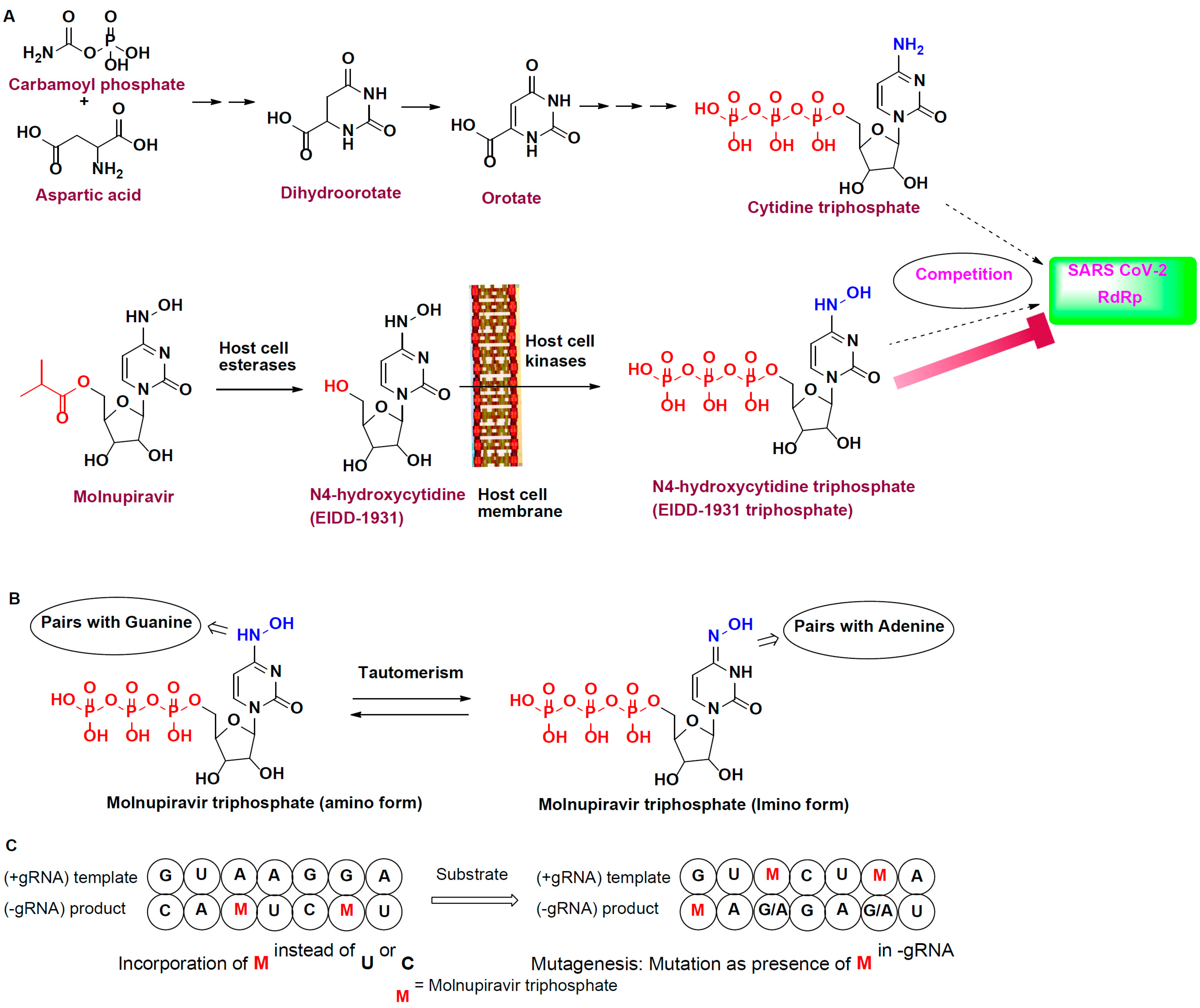 Metabolites 13 00309 g001