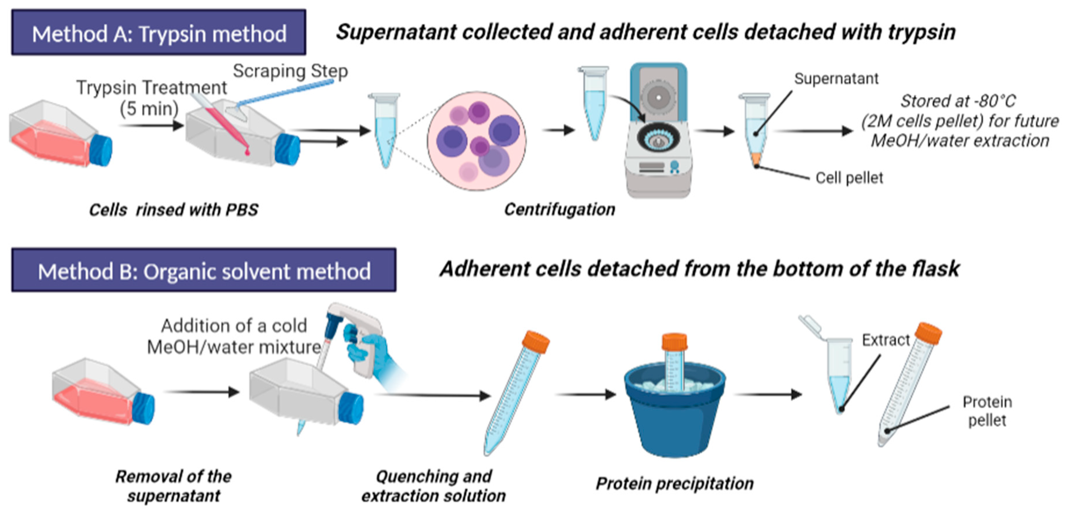 Metabolites 13 00311 g002