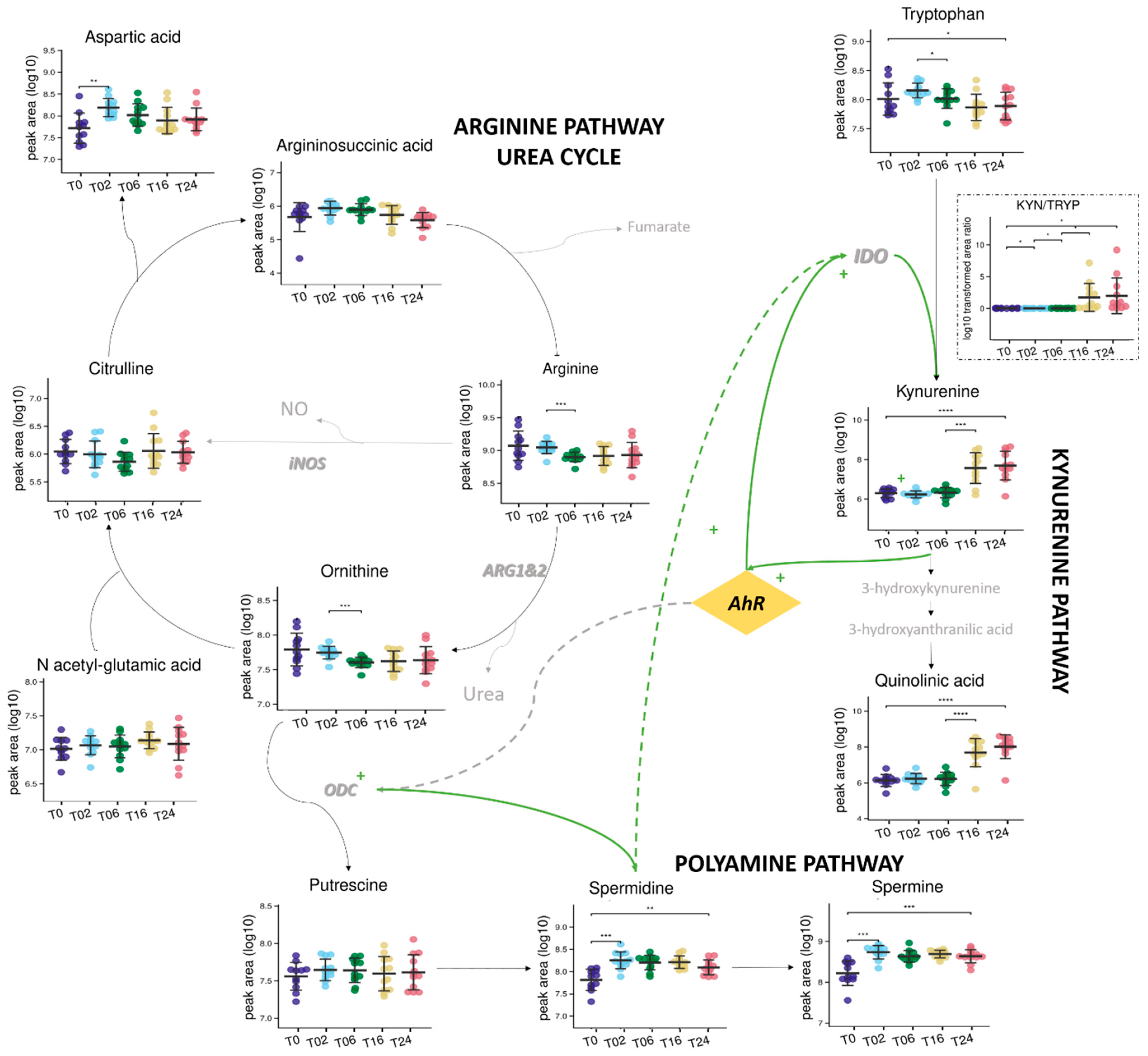 Metabolites 13 00311 g008