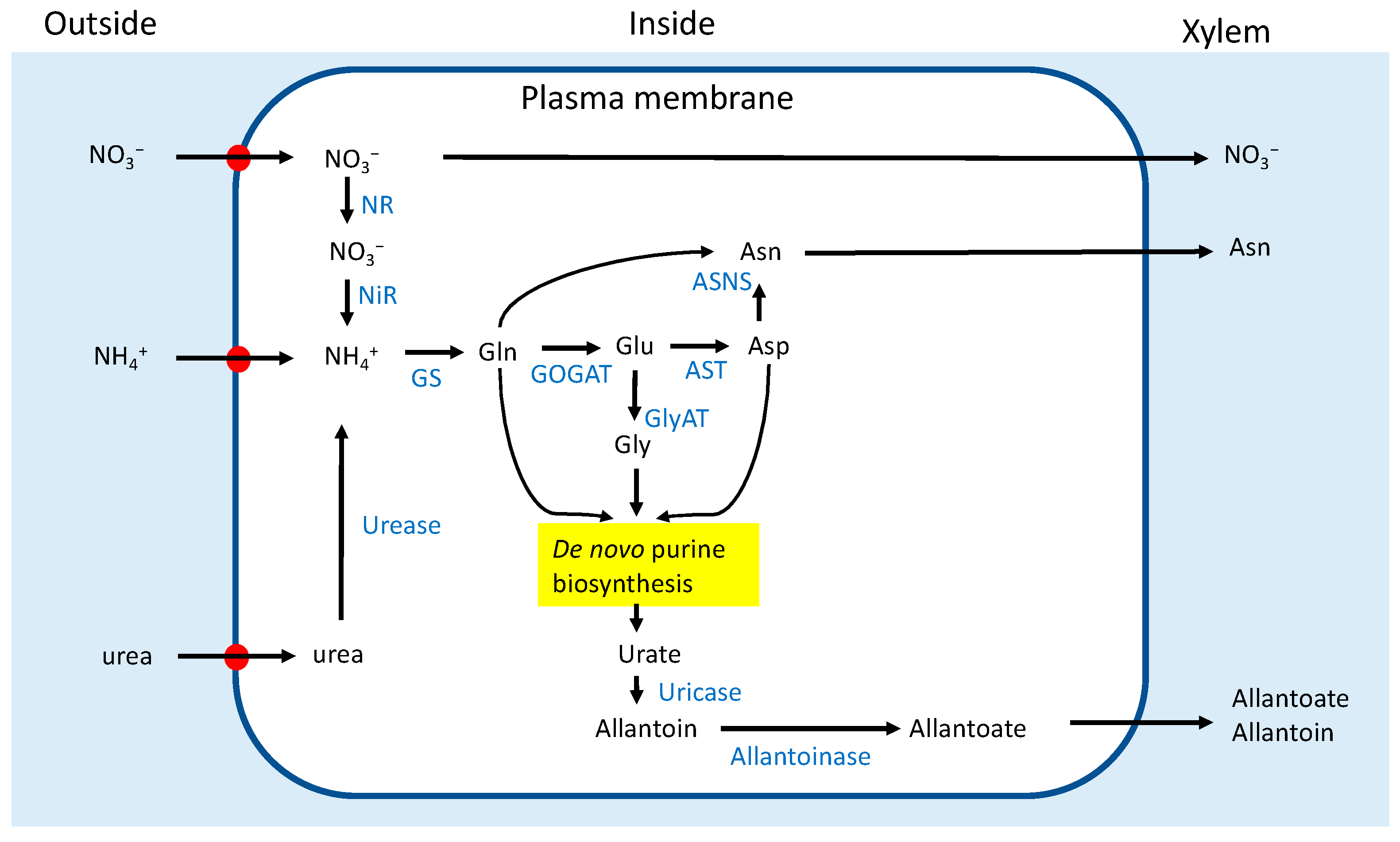 Metabolites 13 00319 g001