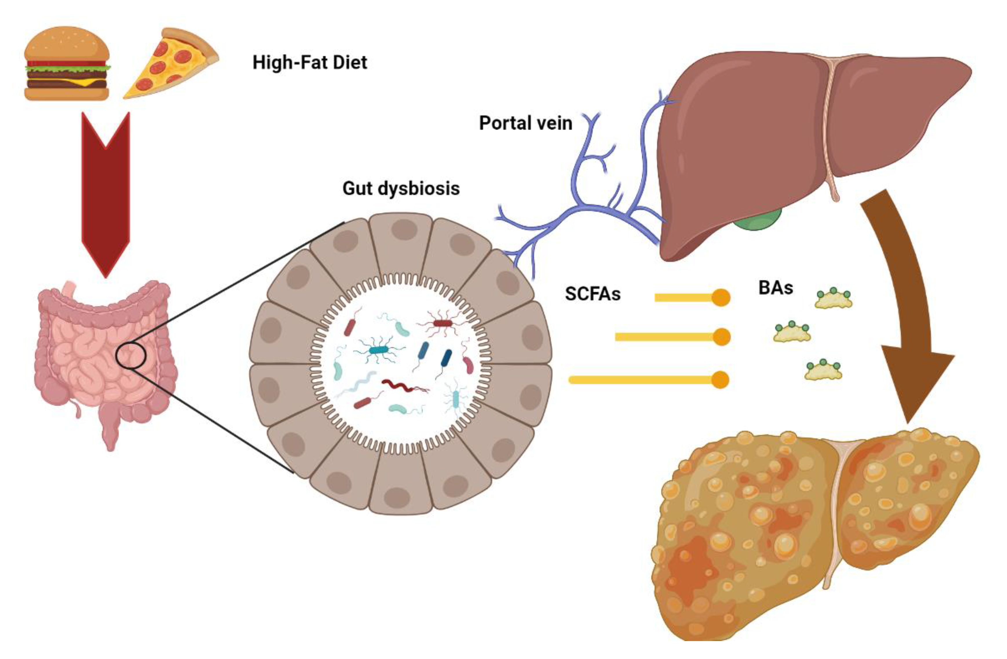 Metabolites 13 00322 g002