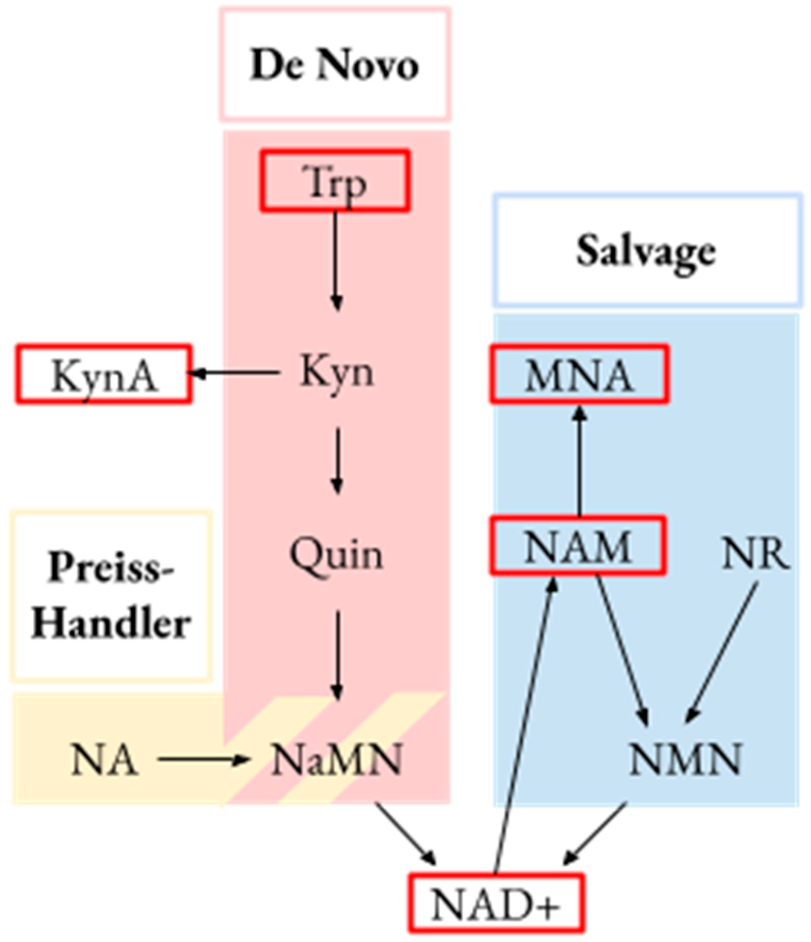 Metabolites 13 00325 g001