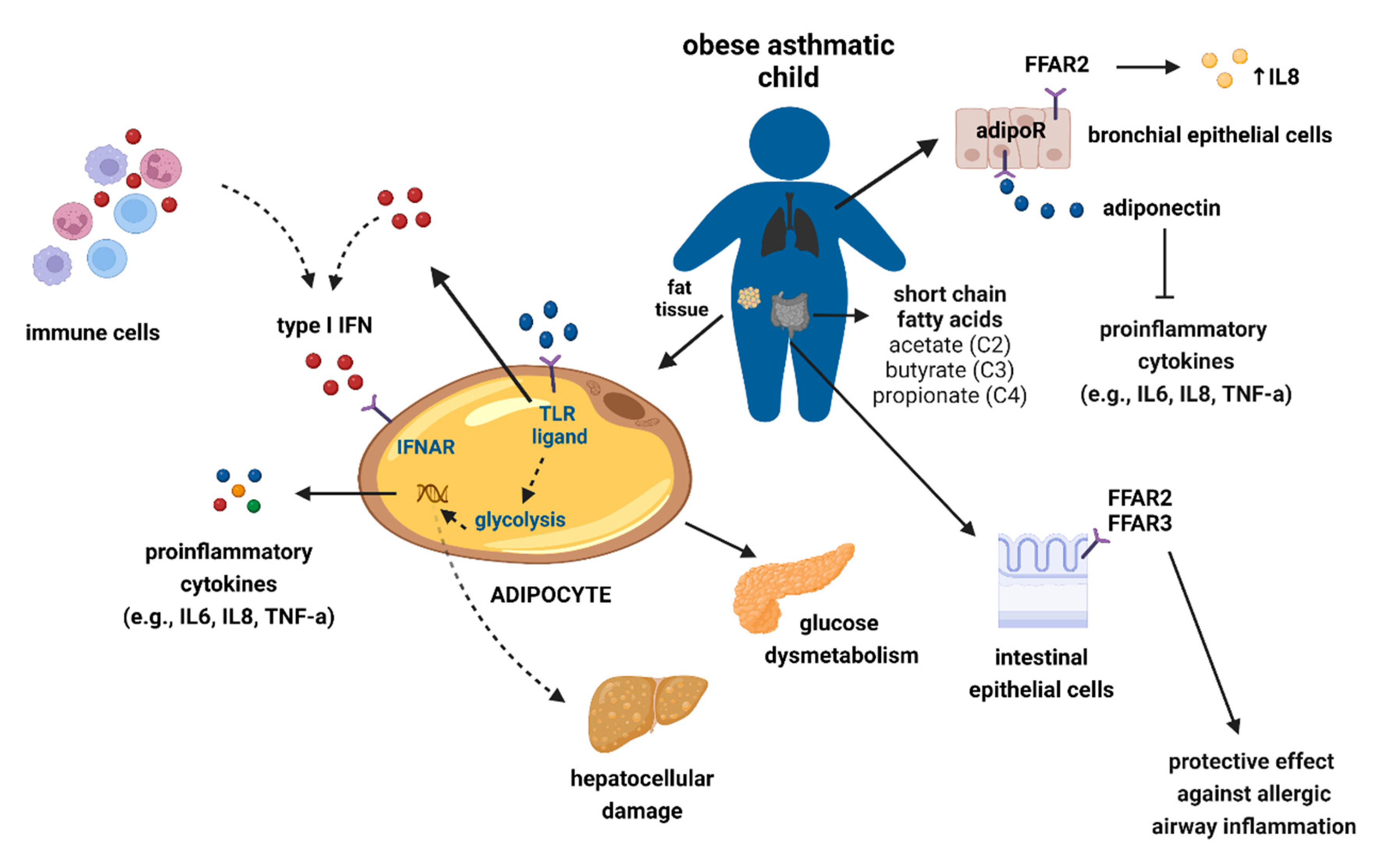 Metabolites 13 00328 g001