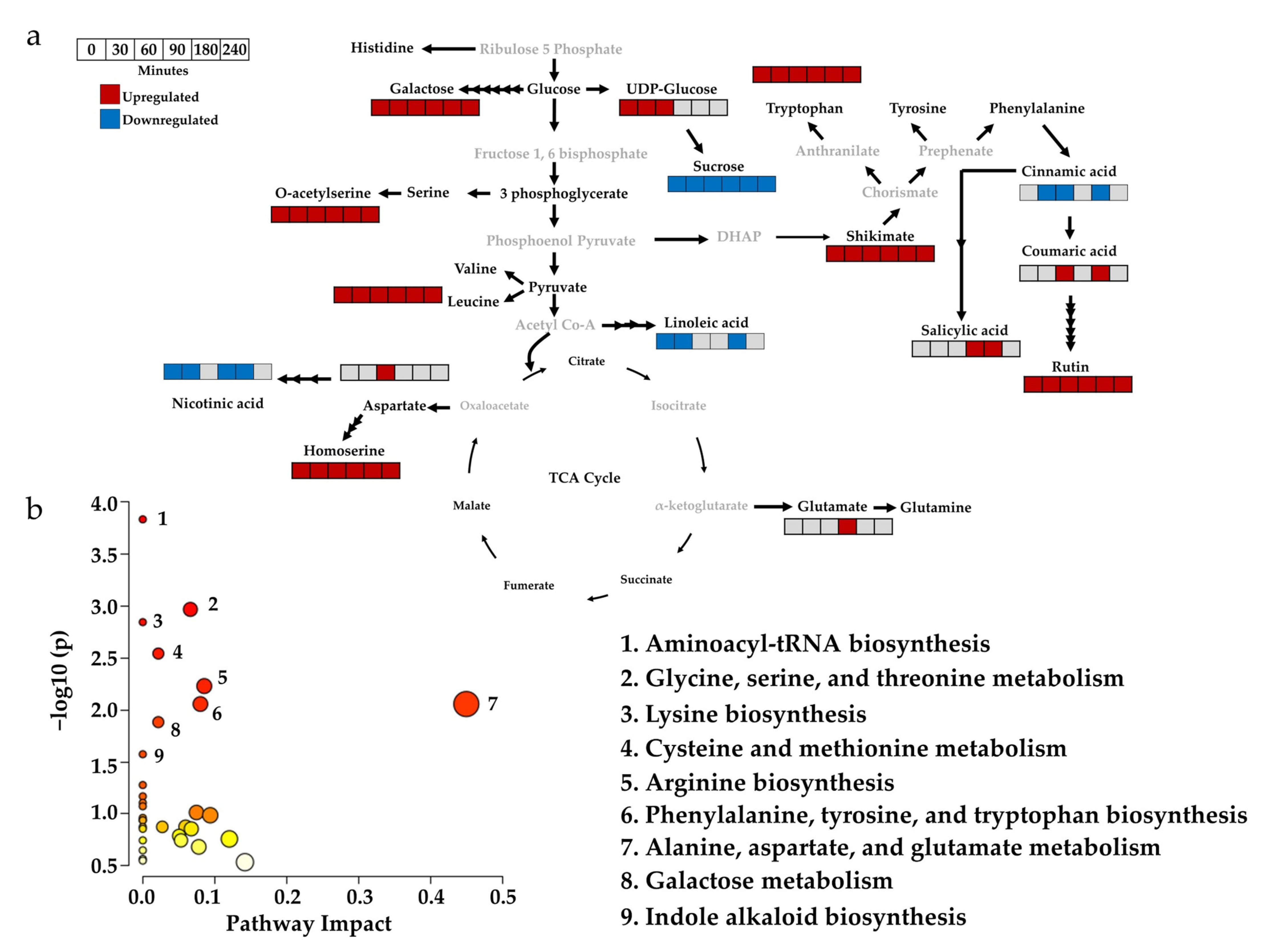 Metabolites 13 00329 g003