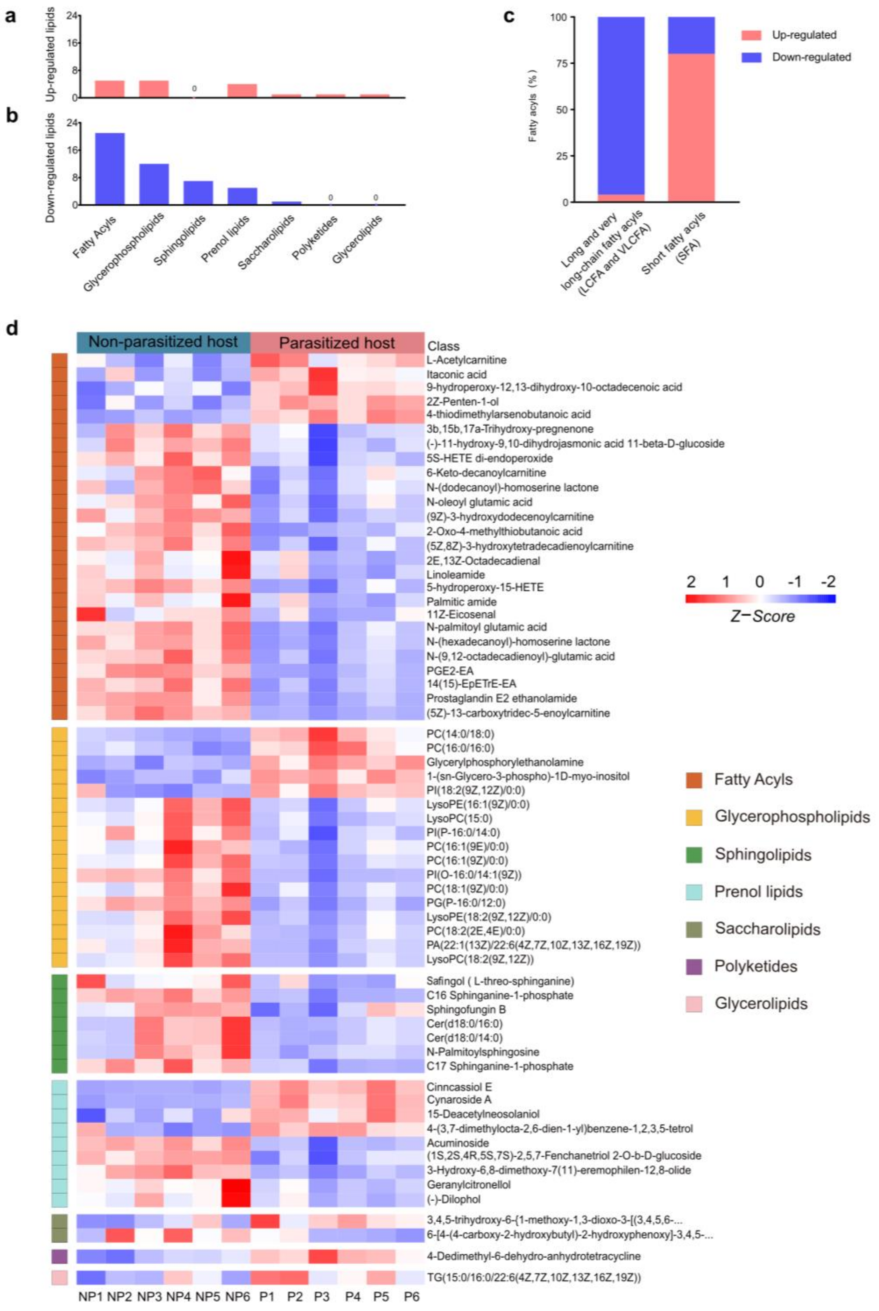 Metabolites 13 00336 g003 Metabolites 13 00336 g003