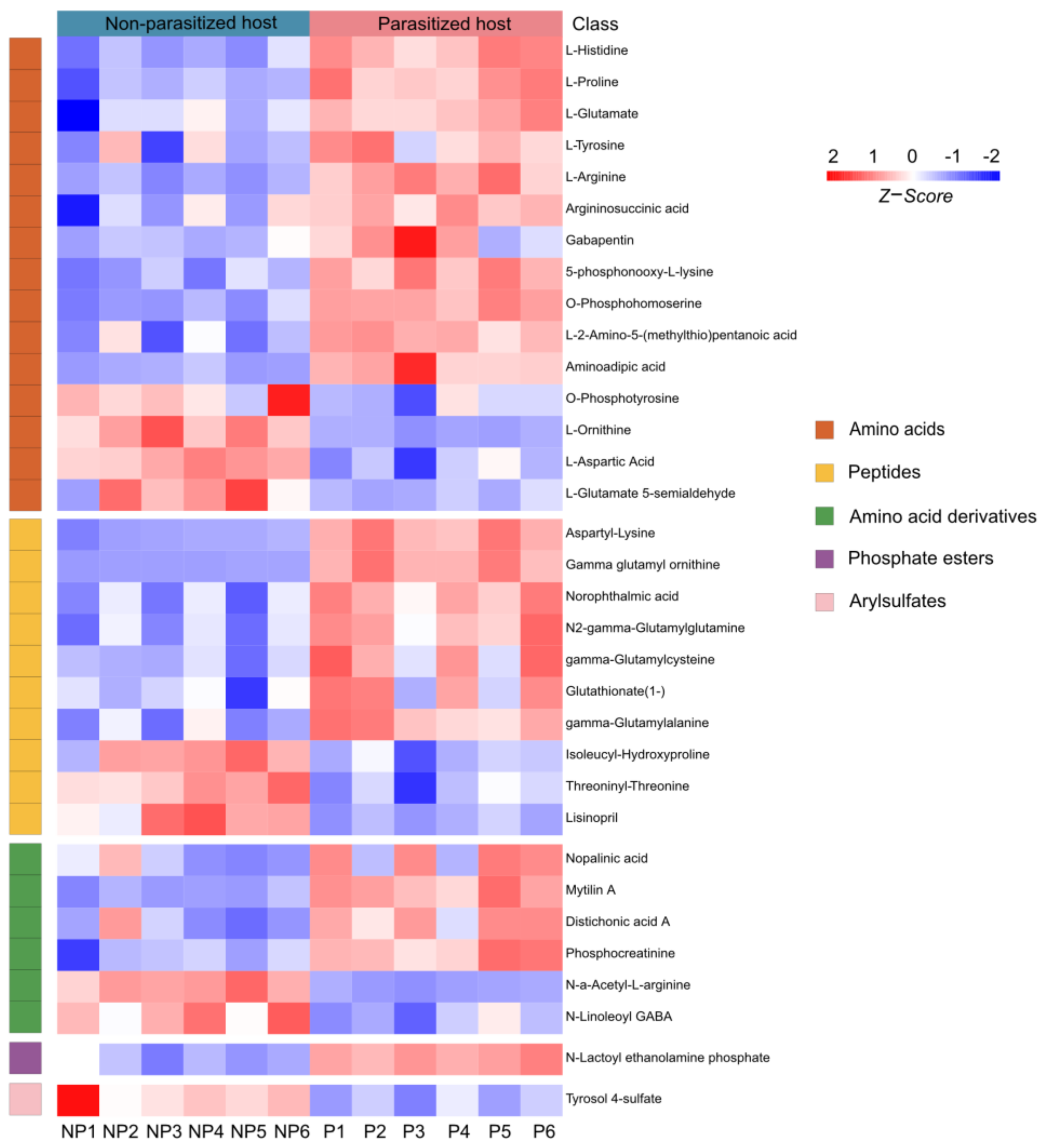 Metabolites 13 00336 g004 Metabolites 13 00336 g004