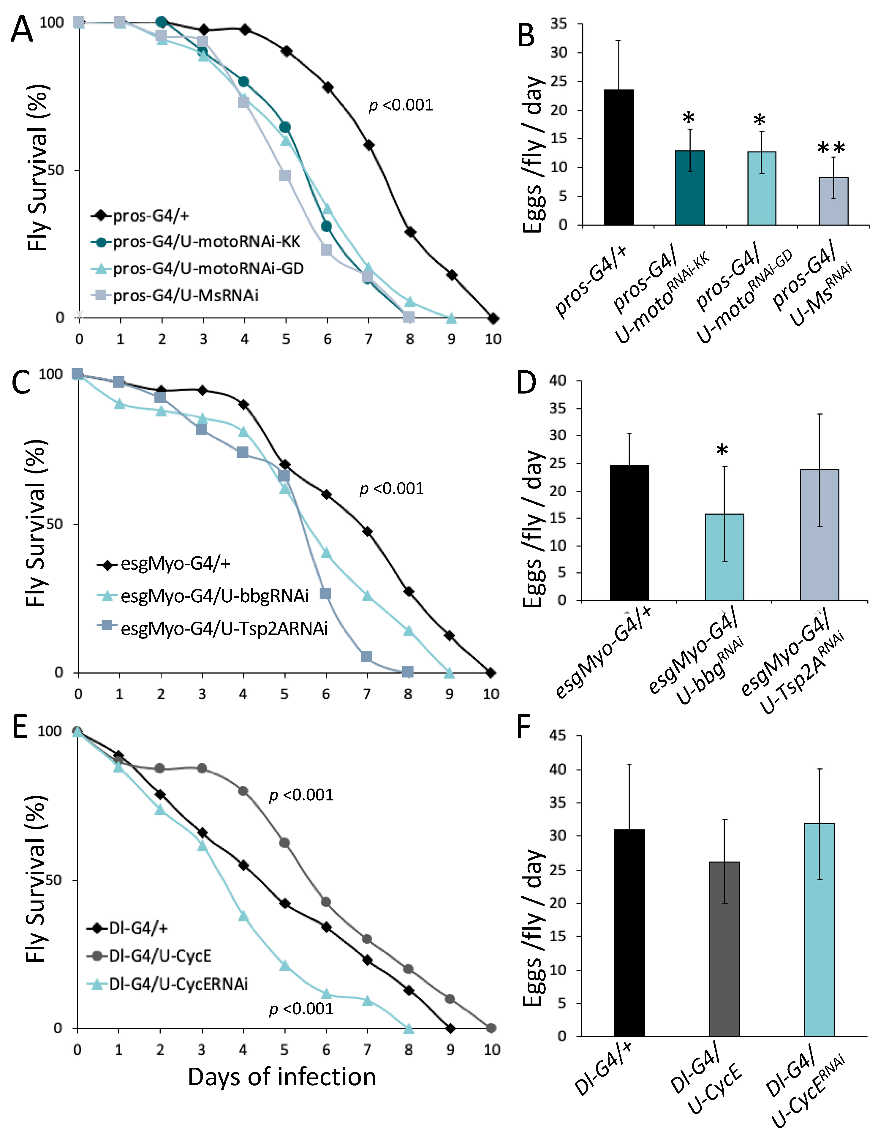 Metabolites 13 00340 g001 Metabolites 13 00340 g001