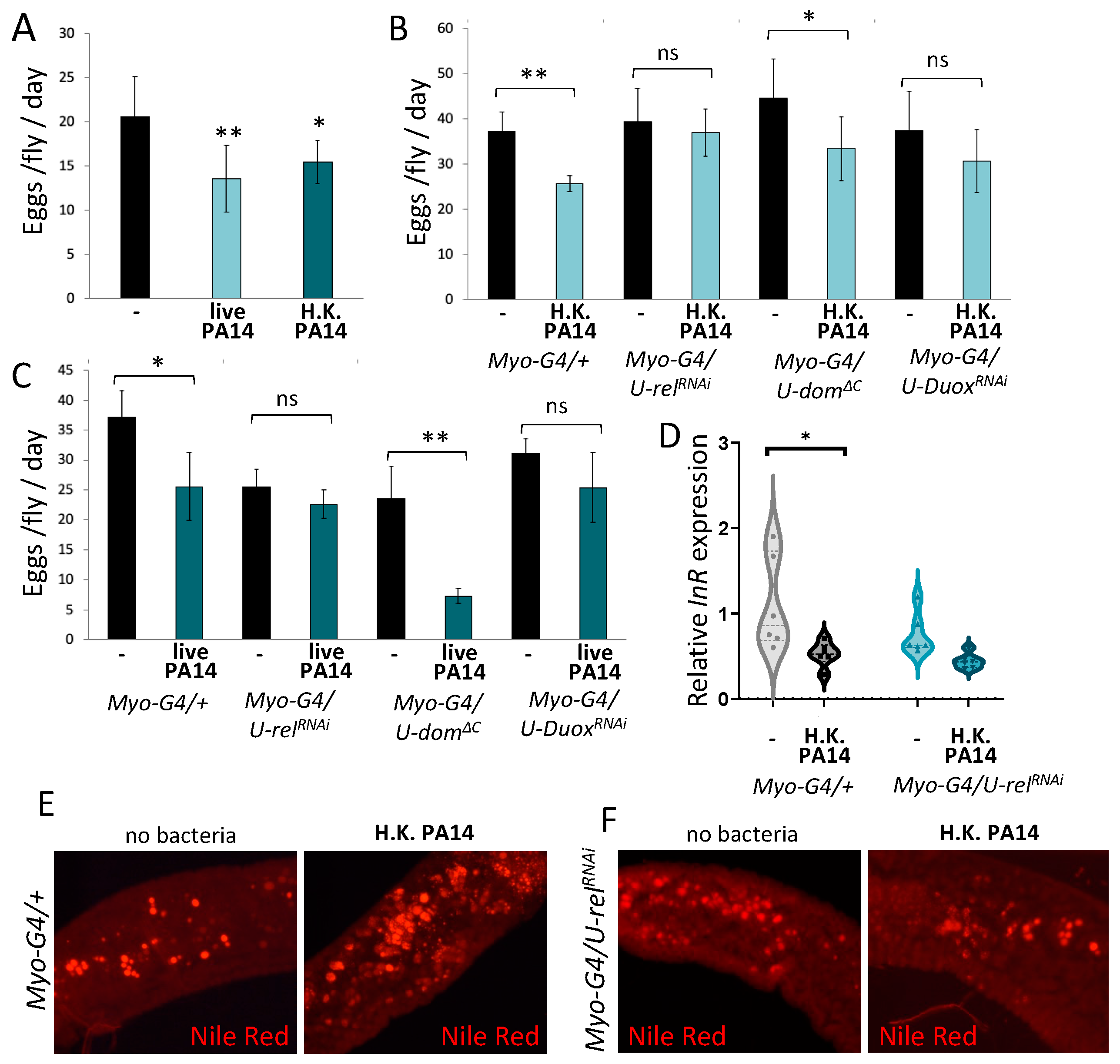 Metabolites 13 00340 g002 Metabolites 13 00340 g002