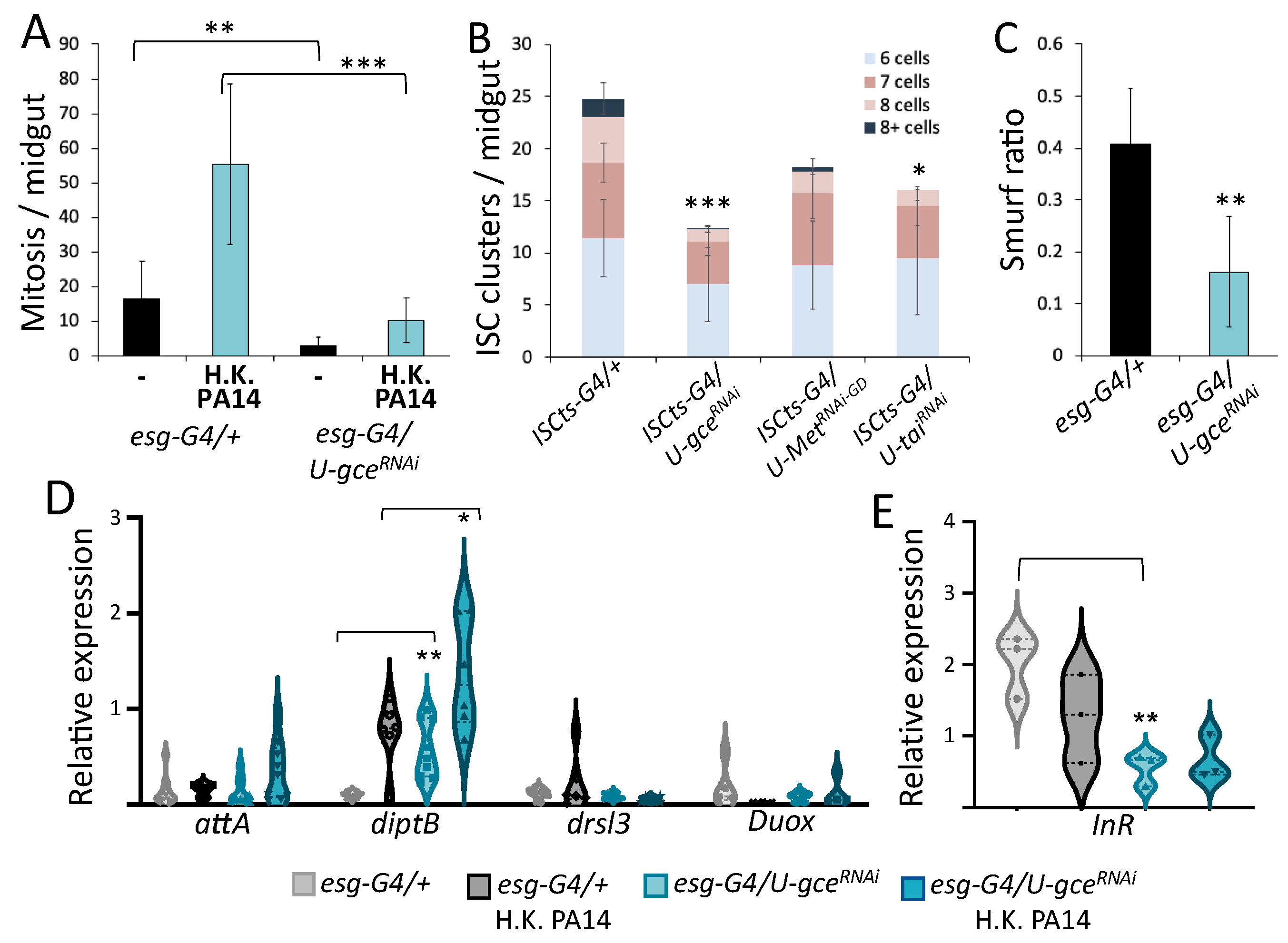 Metabolites 13 00340 g007 Metabolites 13 00340 g007