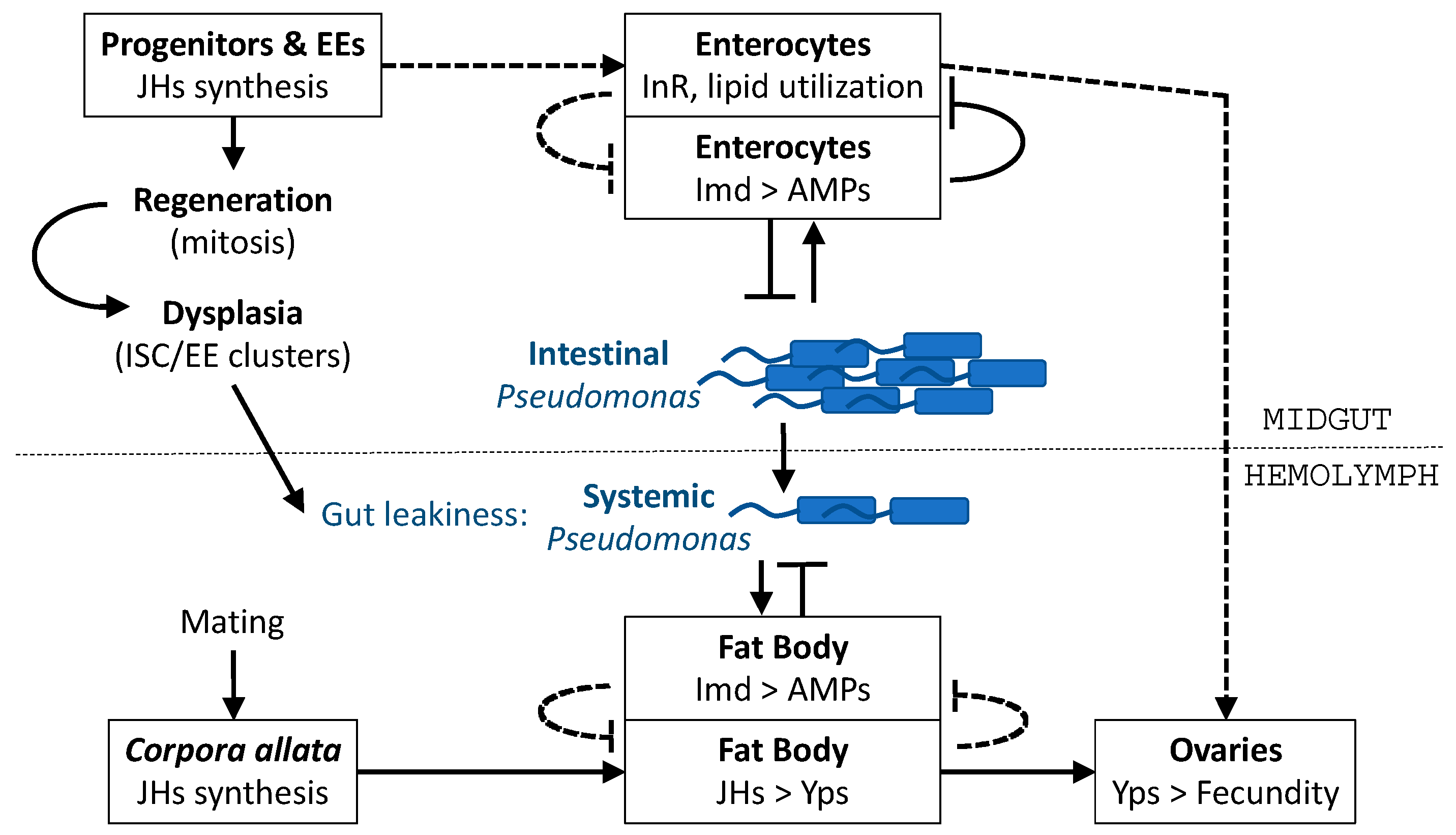 Metabolites 13 00340 g009 Metabolites 13 00340 g009
