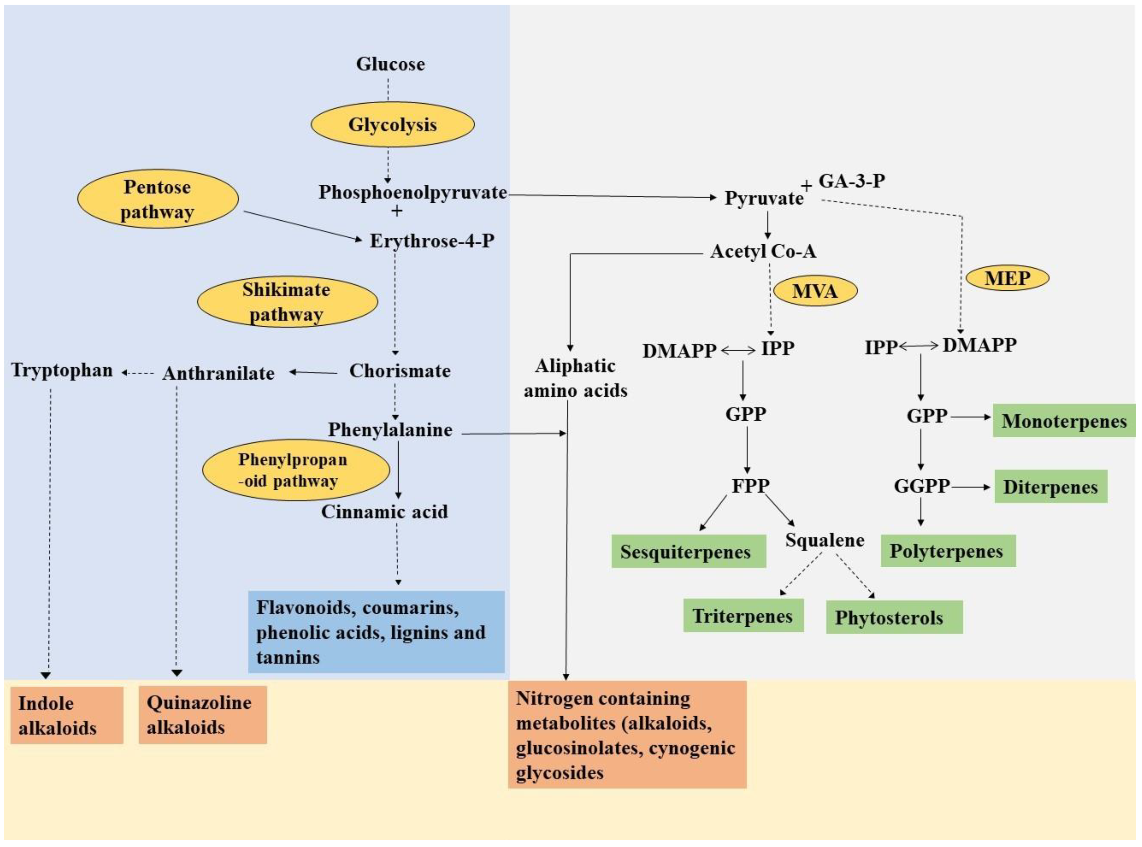 Metabolites 13 00341 g001 Metabolites 13 00341 g001