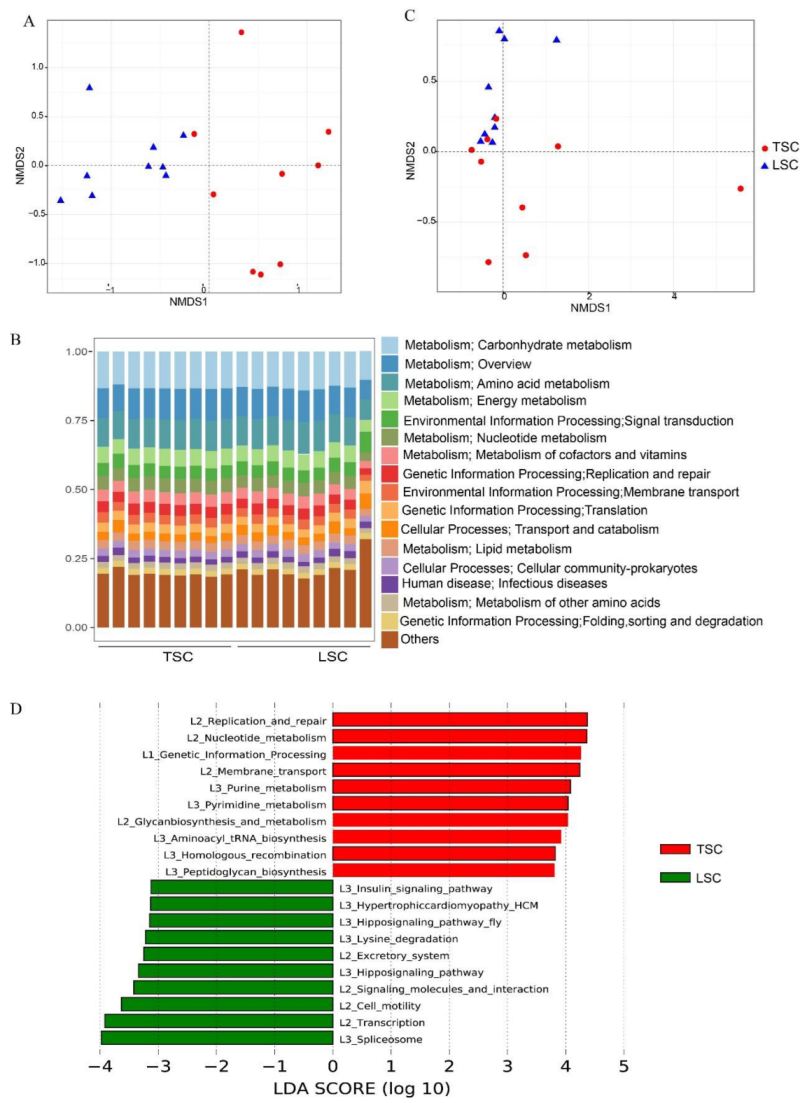 Metabolites 13 00343 g001