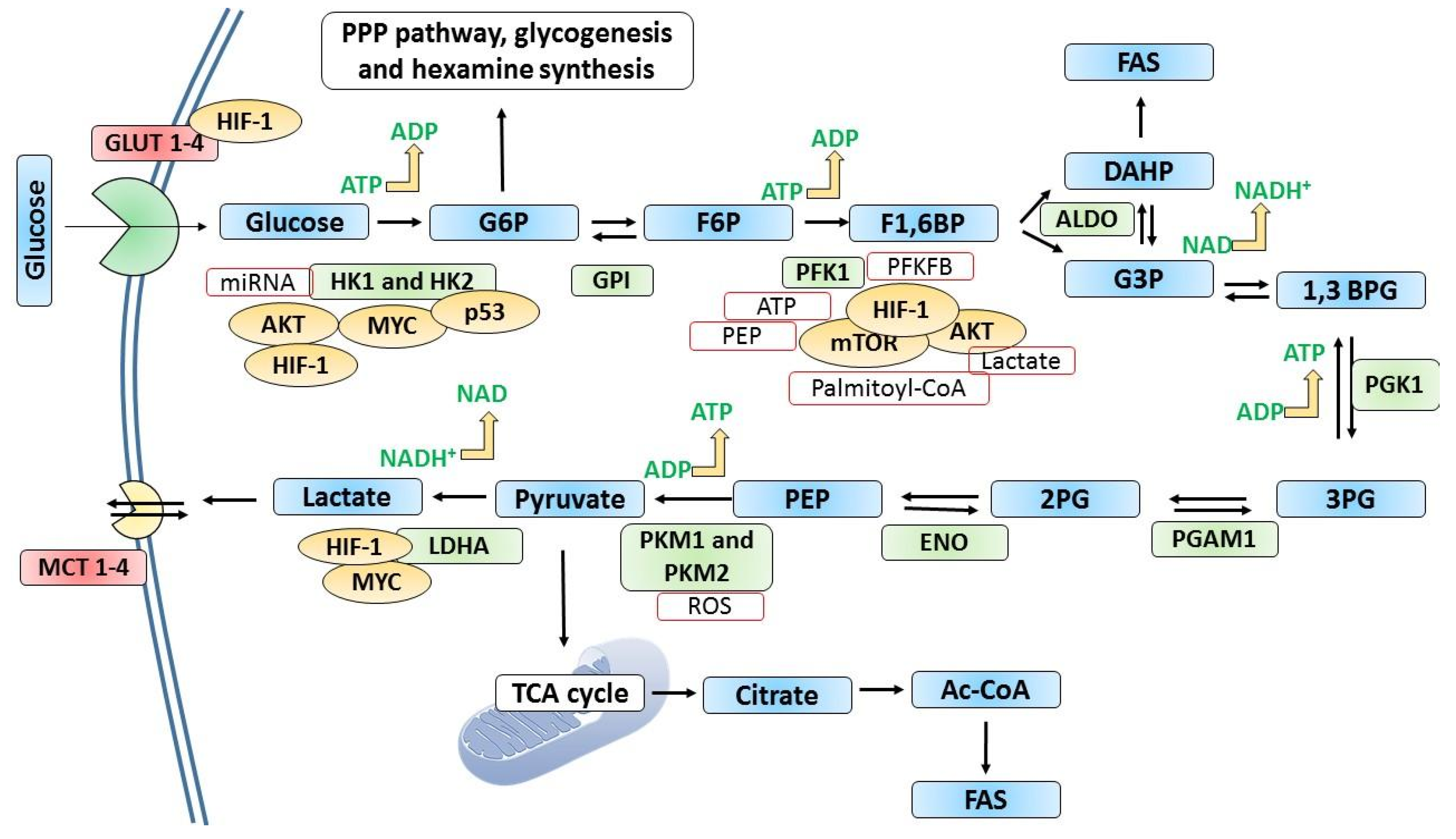 Metabolites 13 00345 g003 Metabolites 13 00345 g003