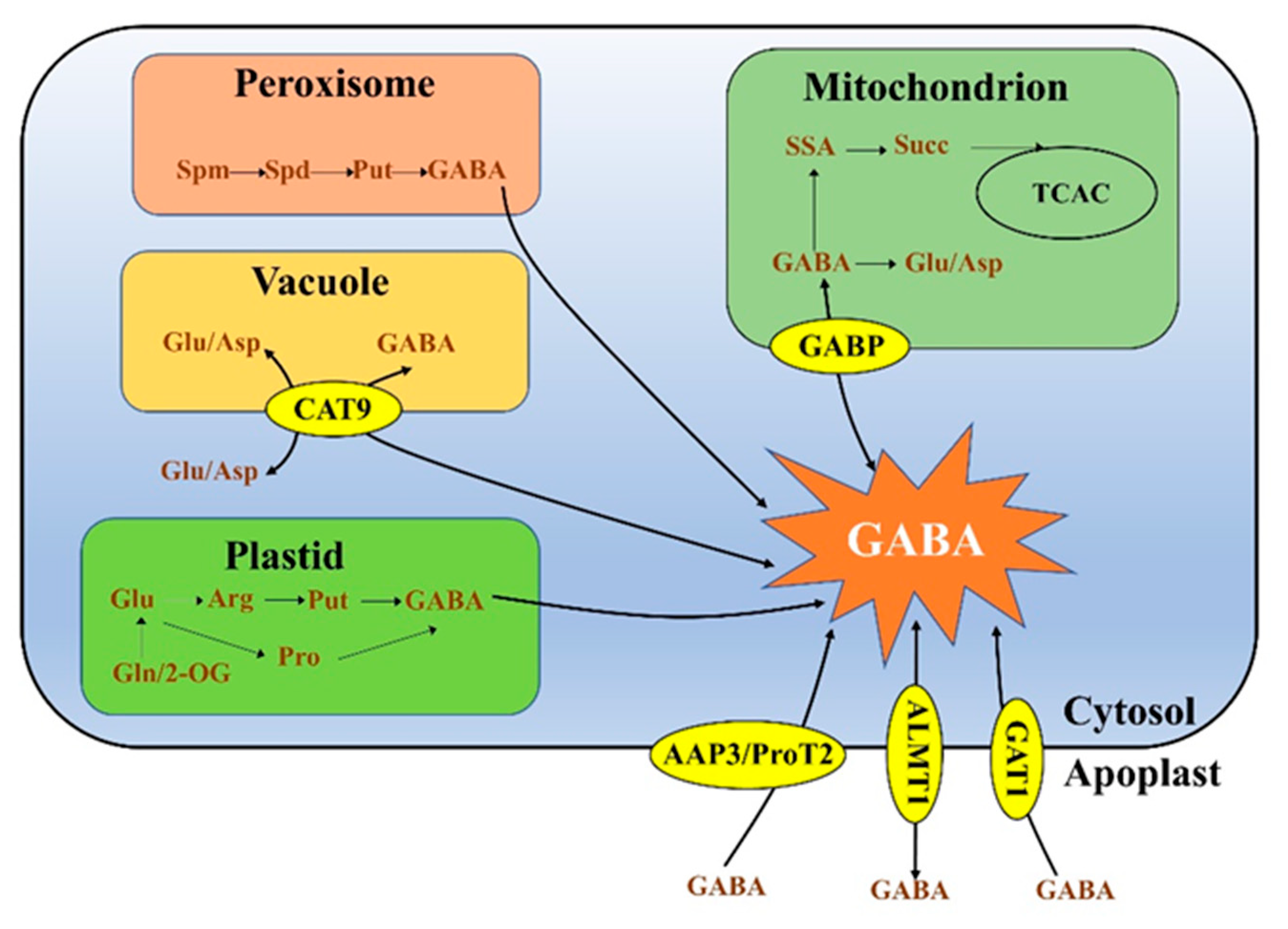 Metabolites 13 00347 g001