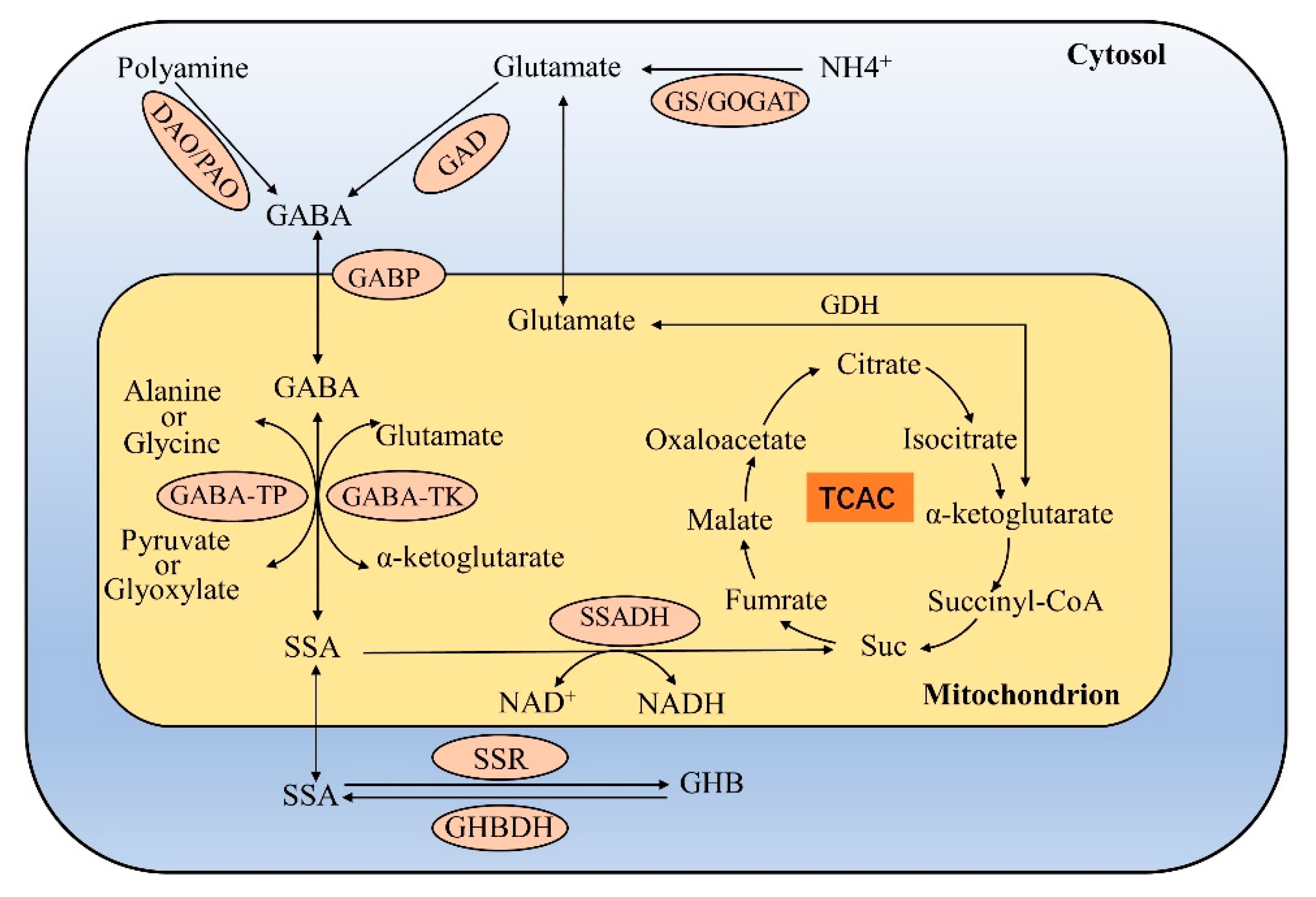 Metabolites 13 00347 g002