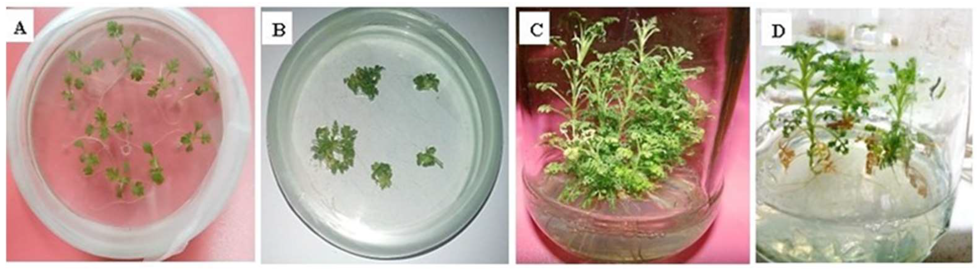 Metabolites 13 00351 g001