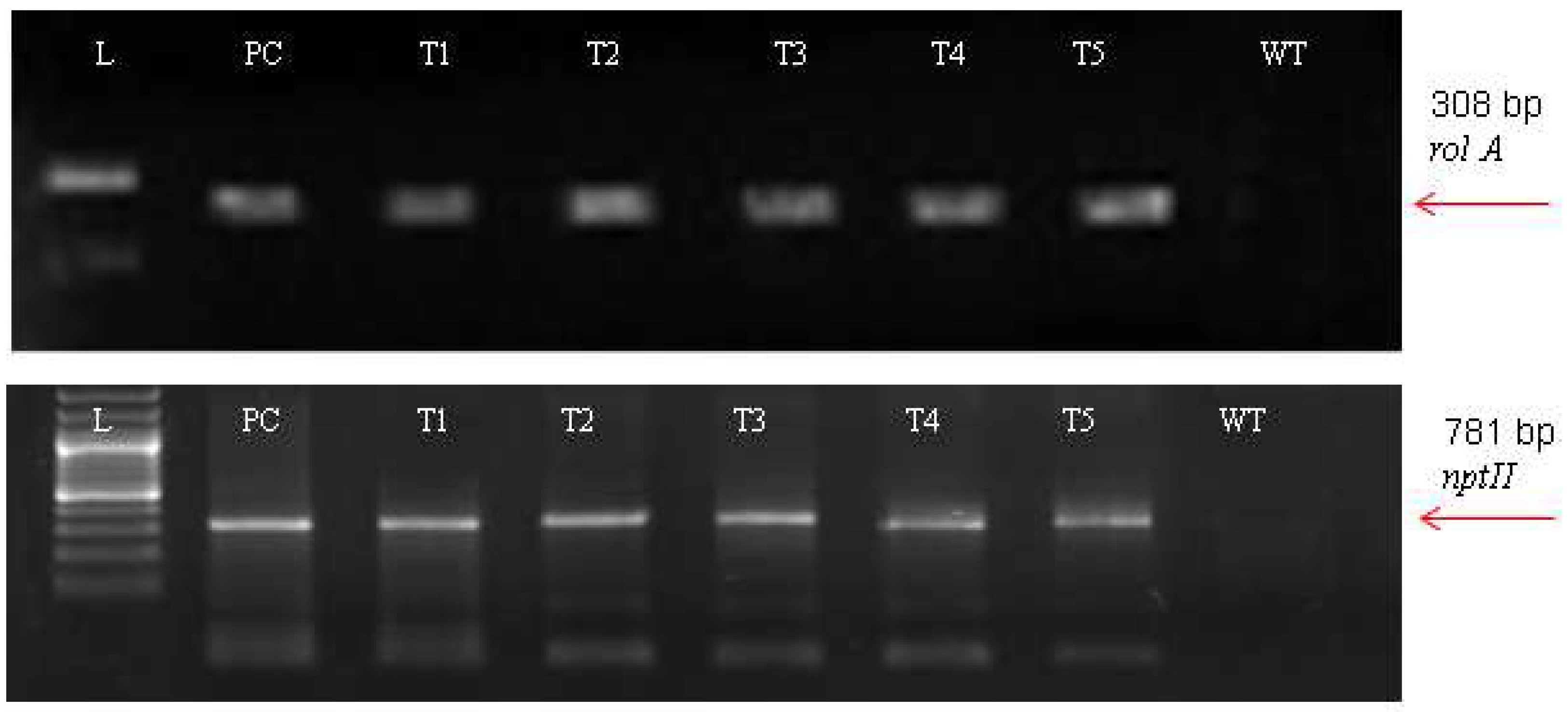 Metabolites 13 00351 g002