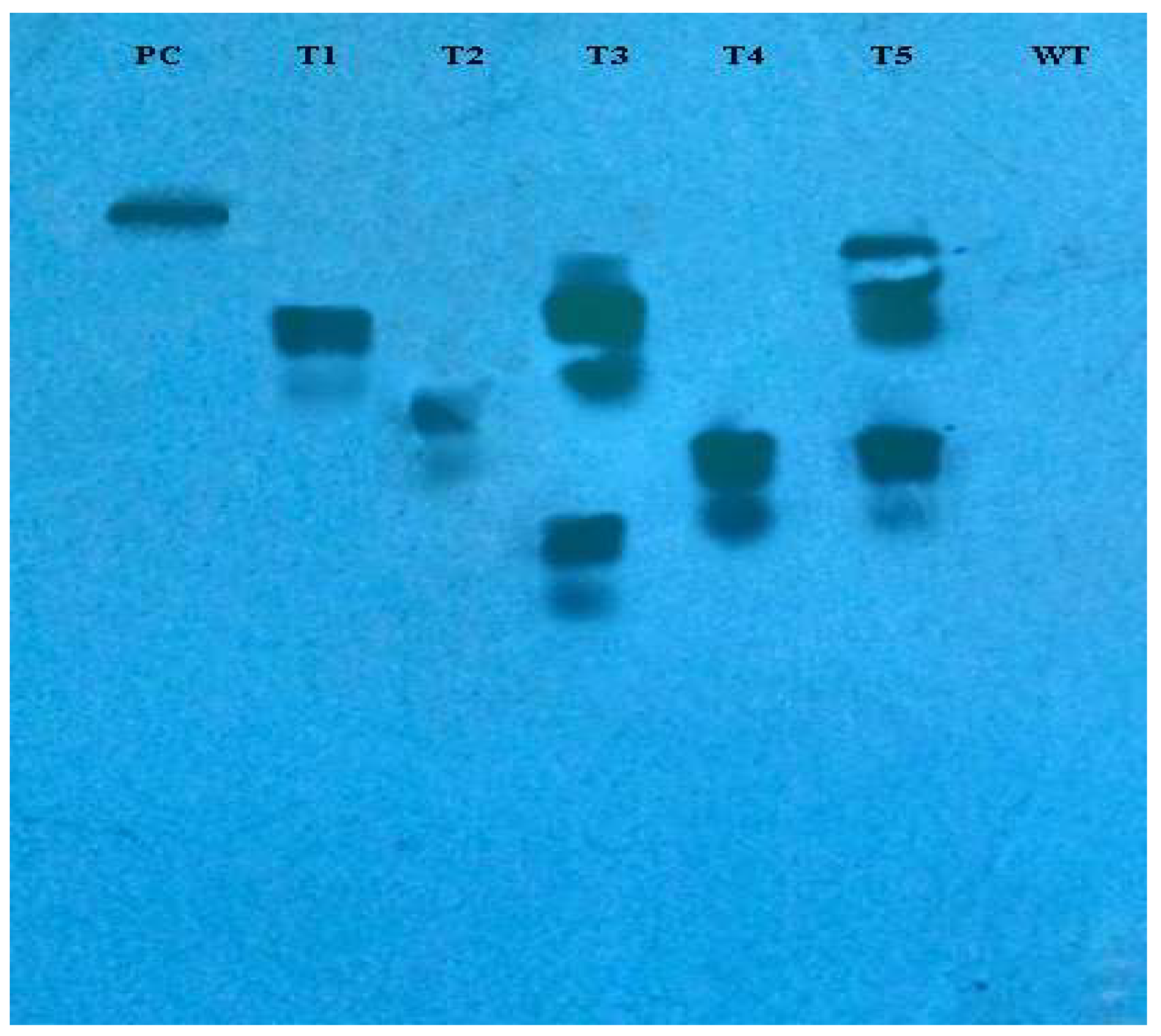 Metabolites 13 00351 g003