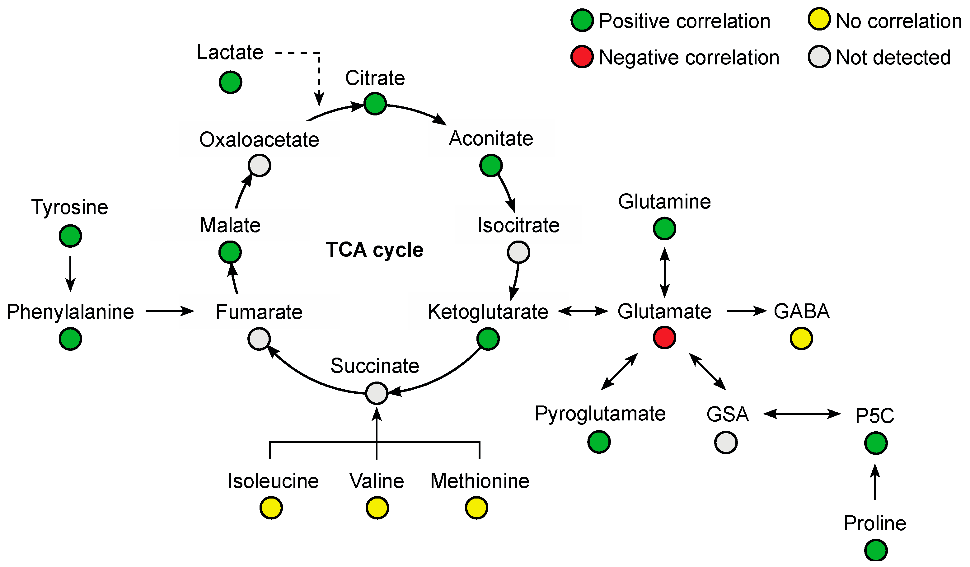 Metabolites 13 00353 g007
