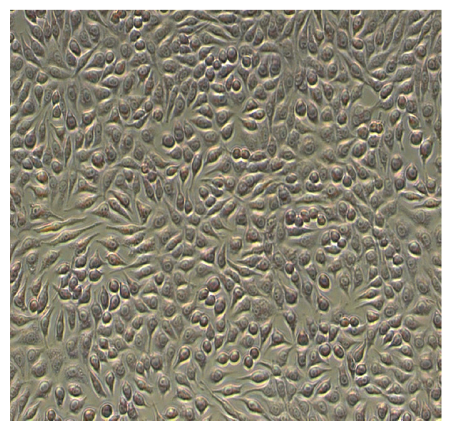 Metabolites 13 00354 g004