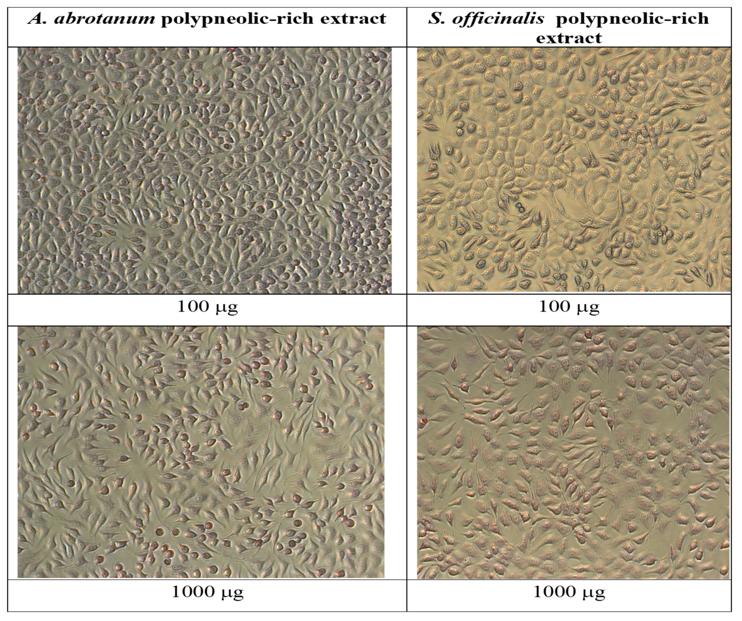 Metabolites 13 00354 g005