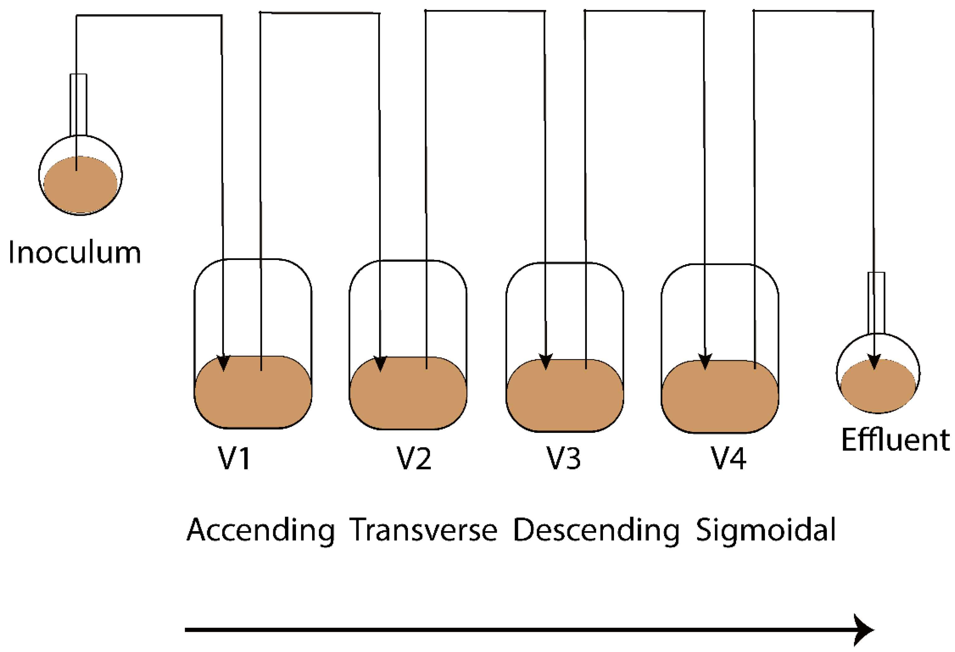 Metabolites 13 00355 g001