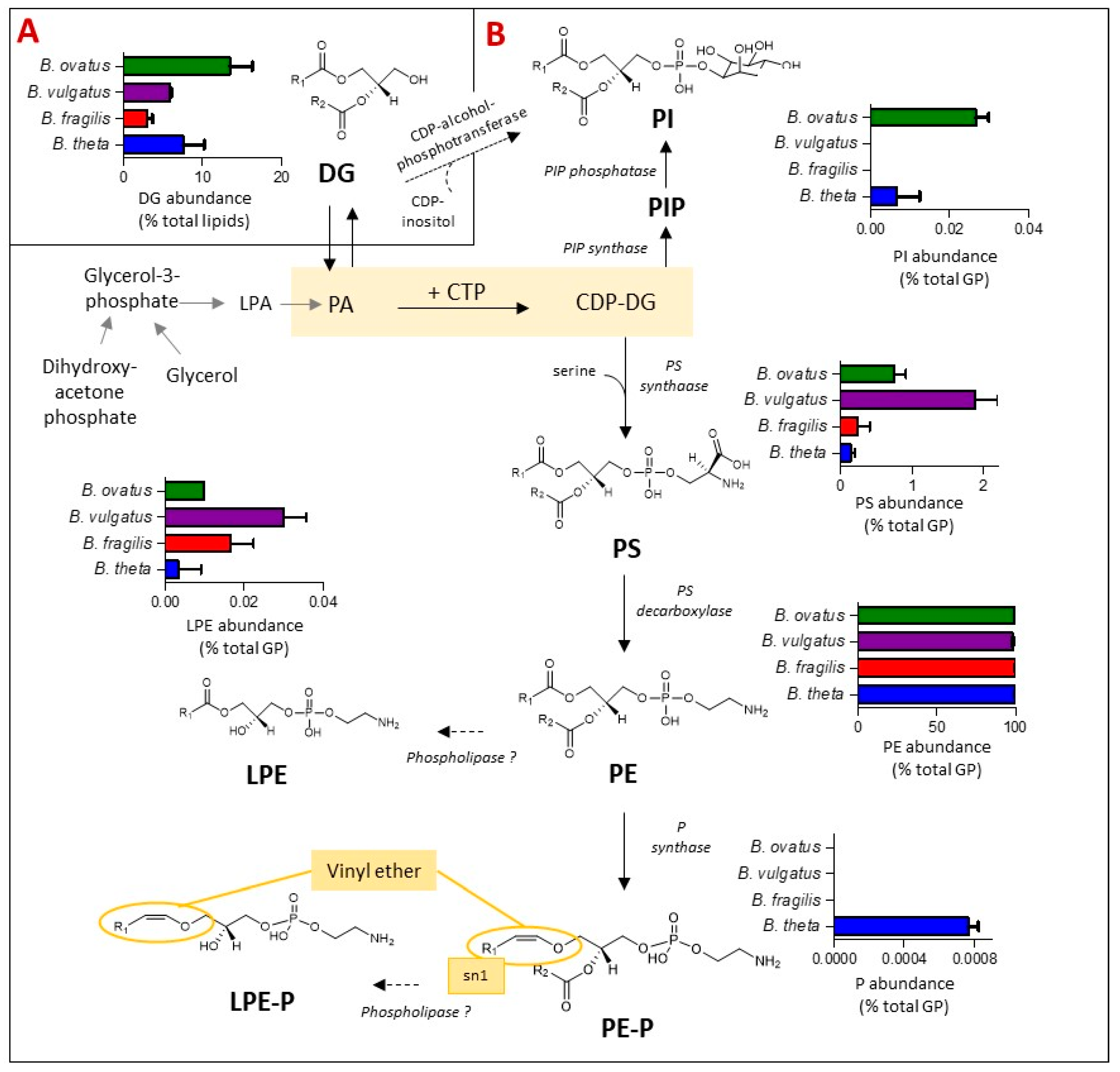 Metabolites 13 00360 g004