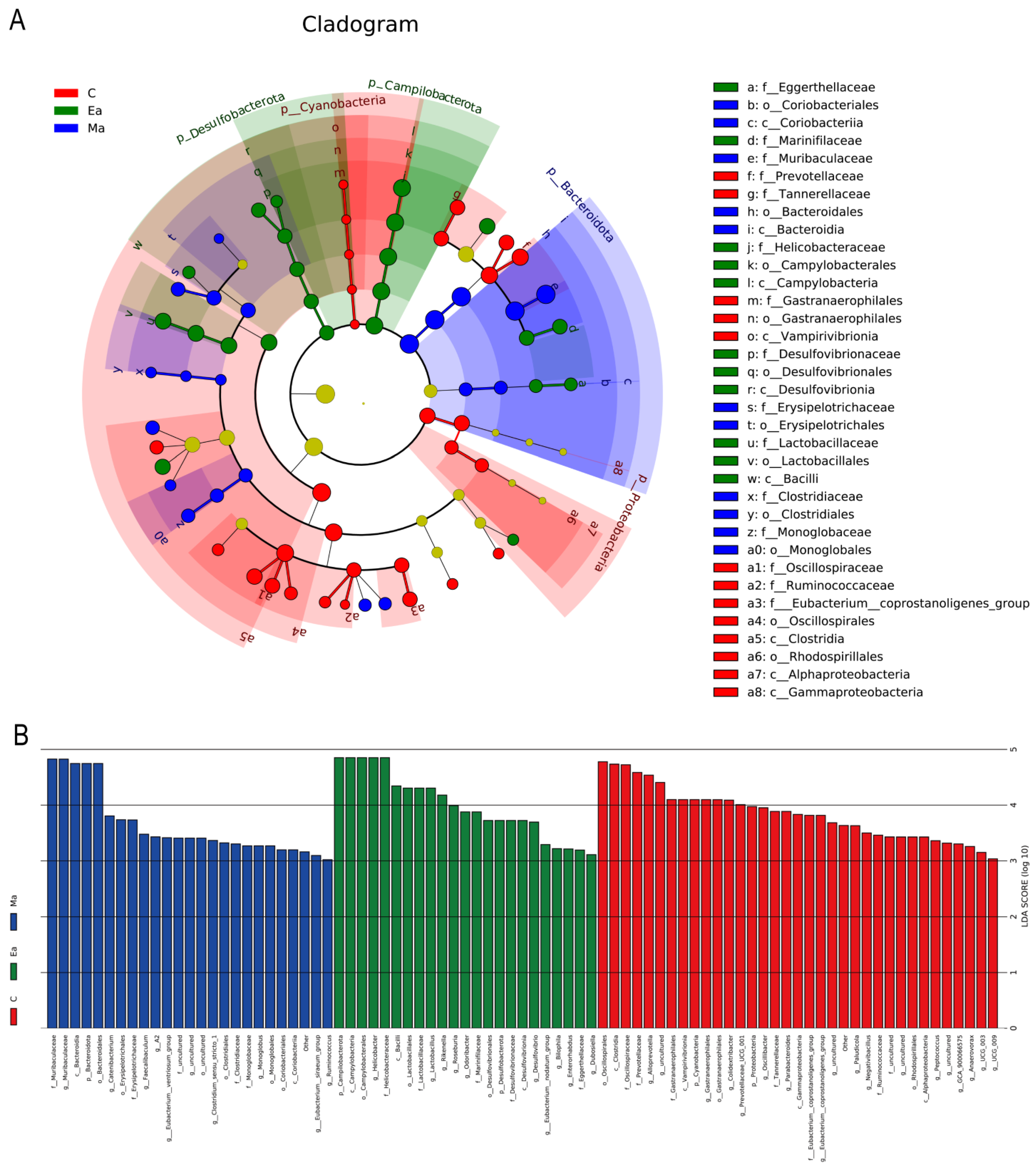 Metabolites 13 00361 g003