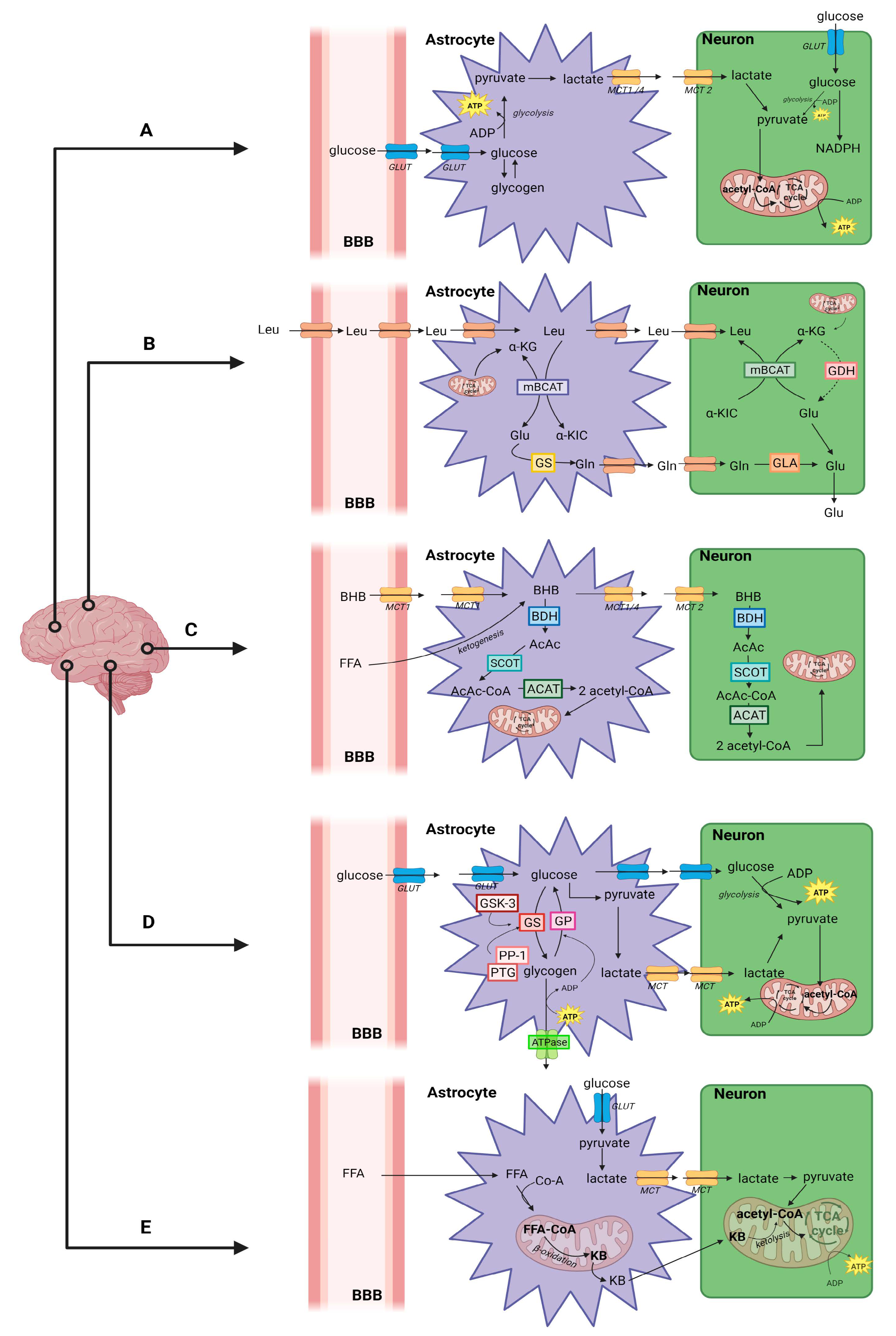 Metabolites 13 00369 g001