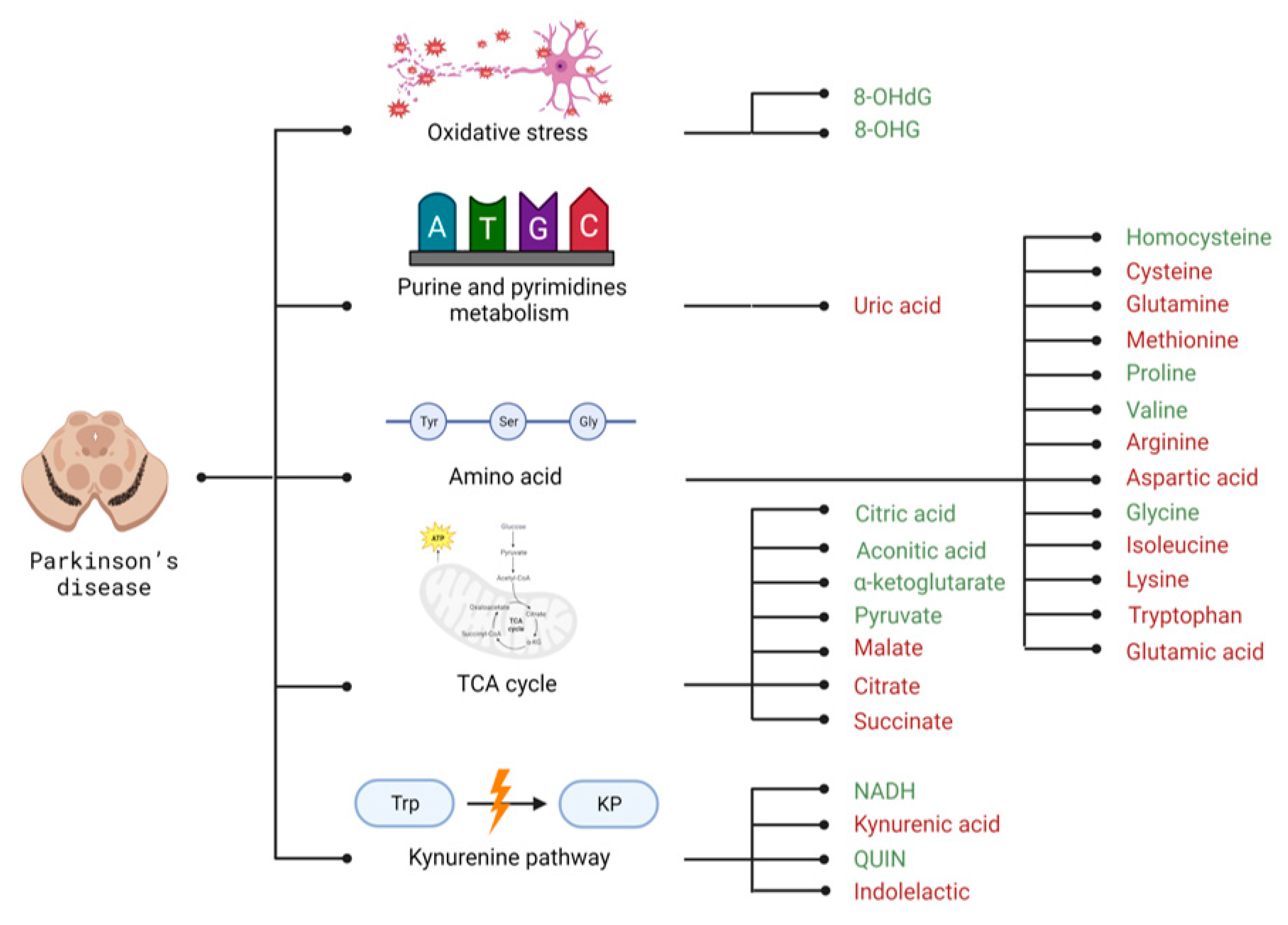 Metabolites 13 00369 g003