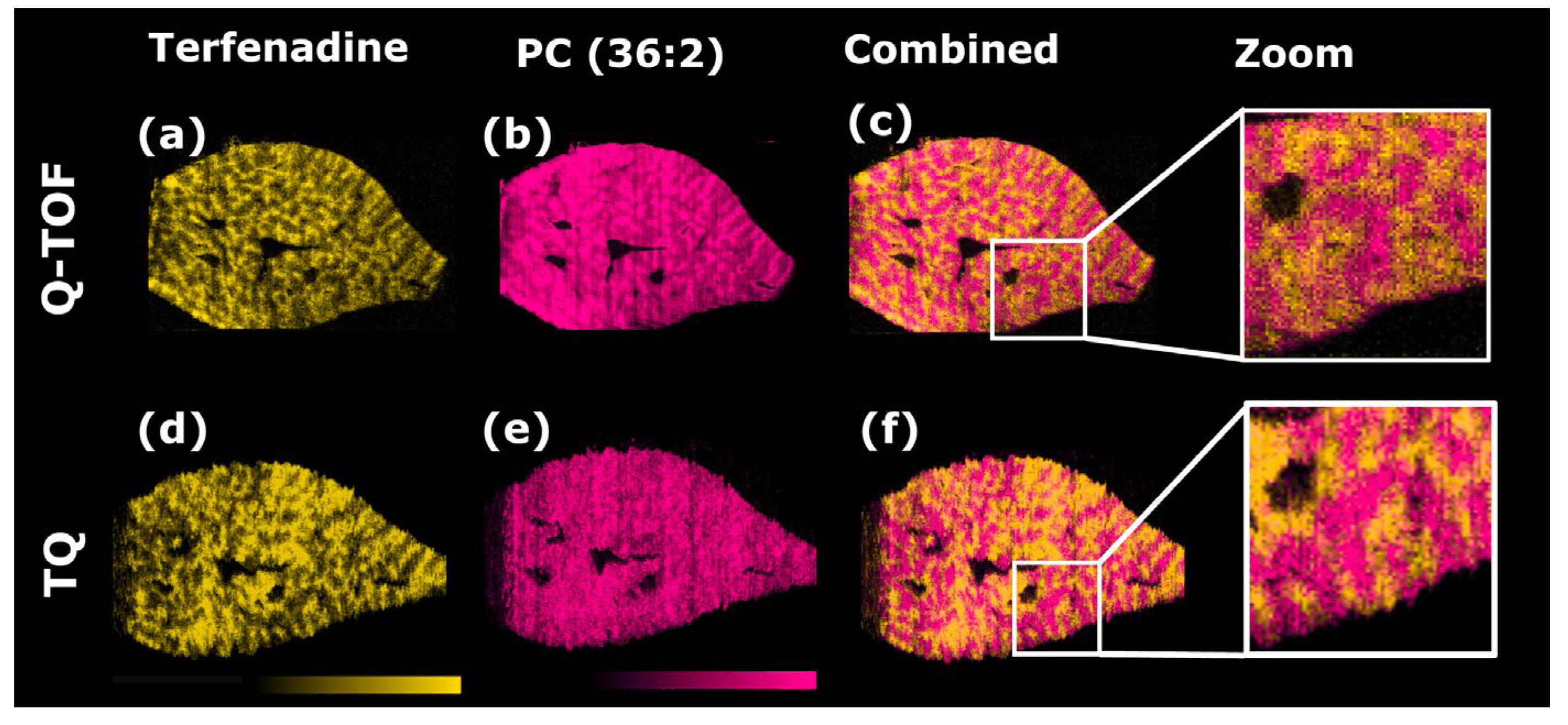 Metabolites 13 00377 g002 Metabolites 13 00377 g002