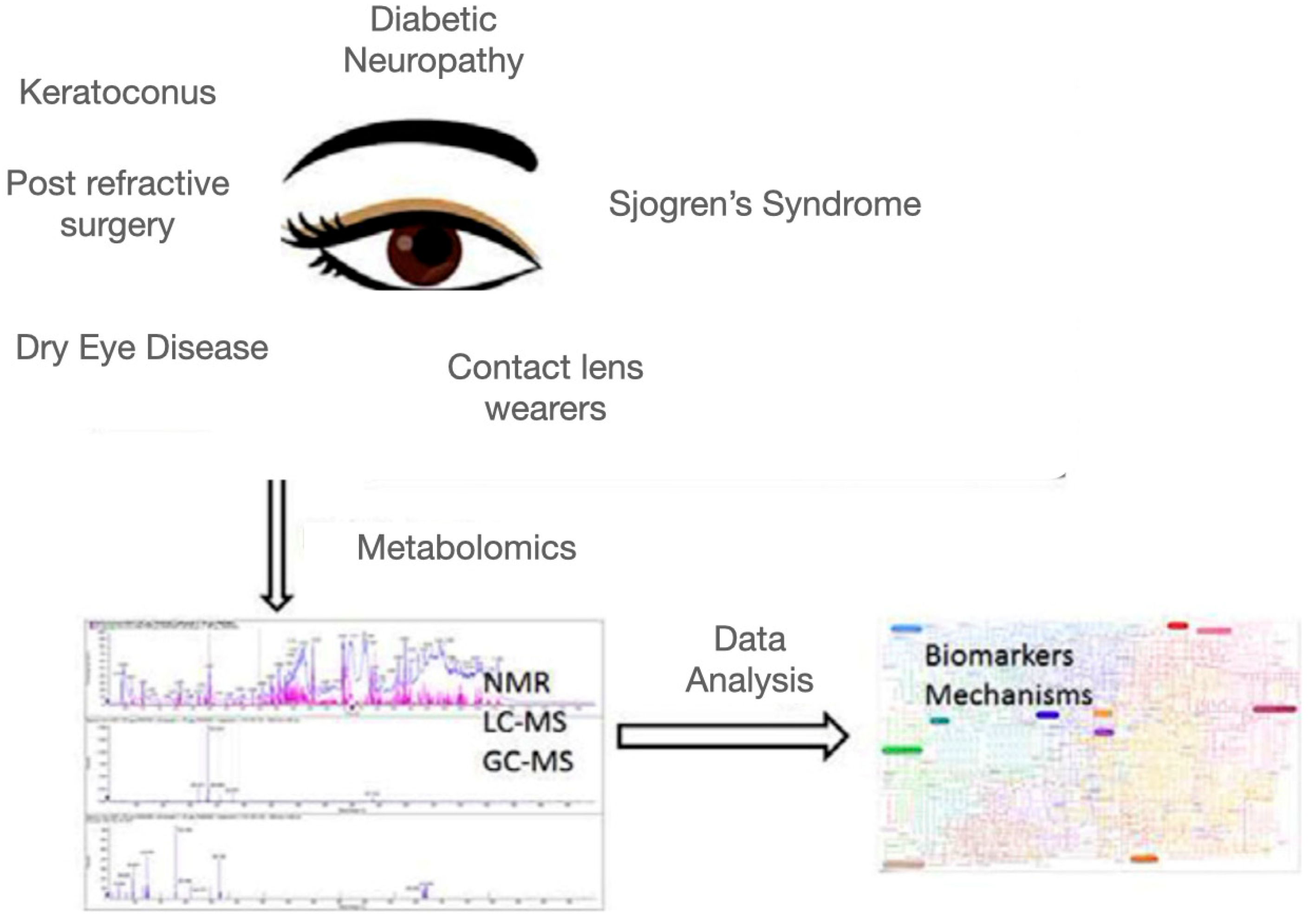 Metabolites 13 00380 g001