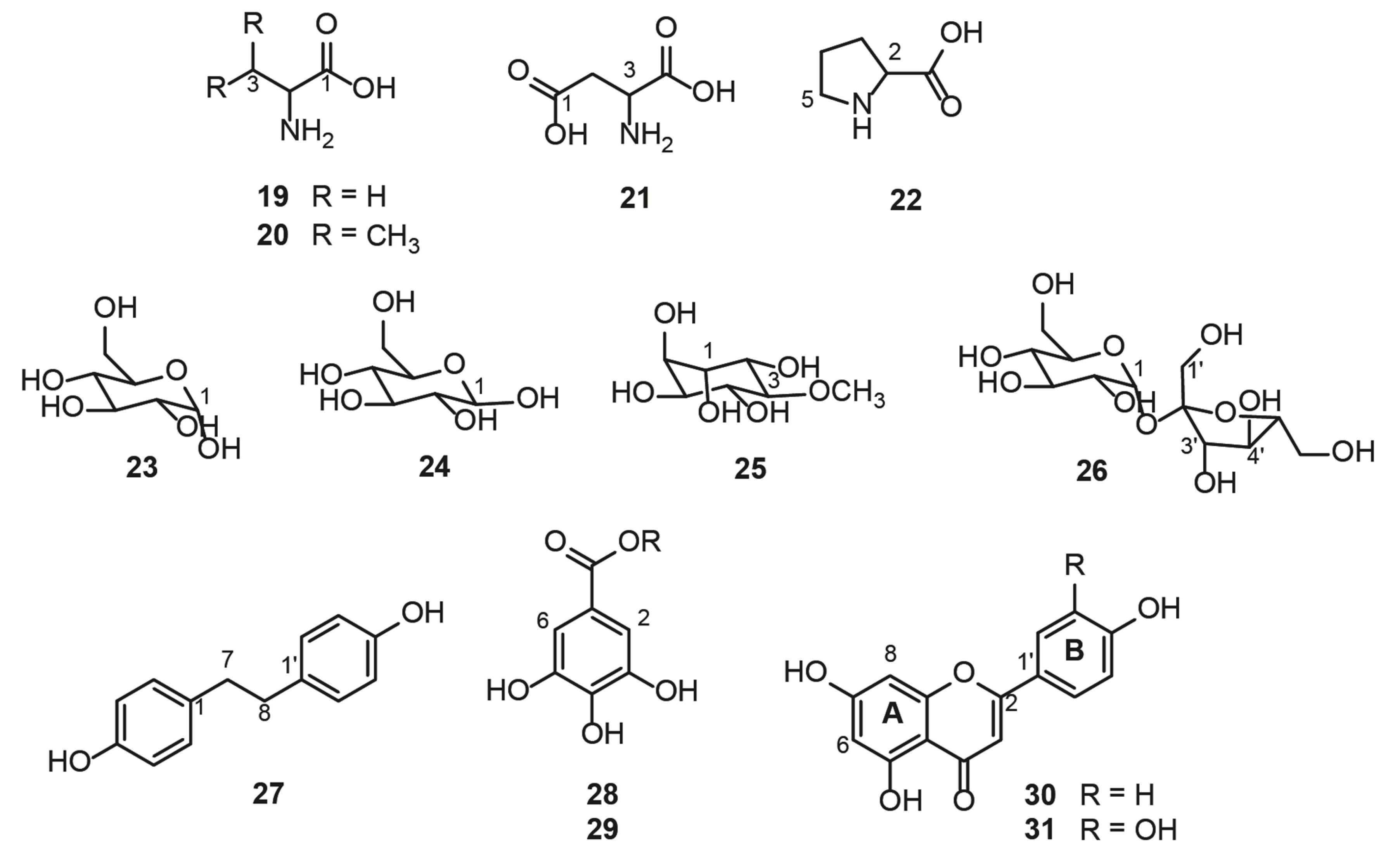 Metabolites 13 00381 g002