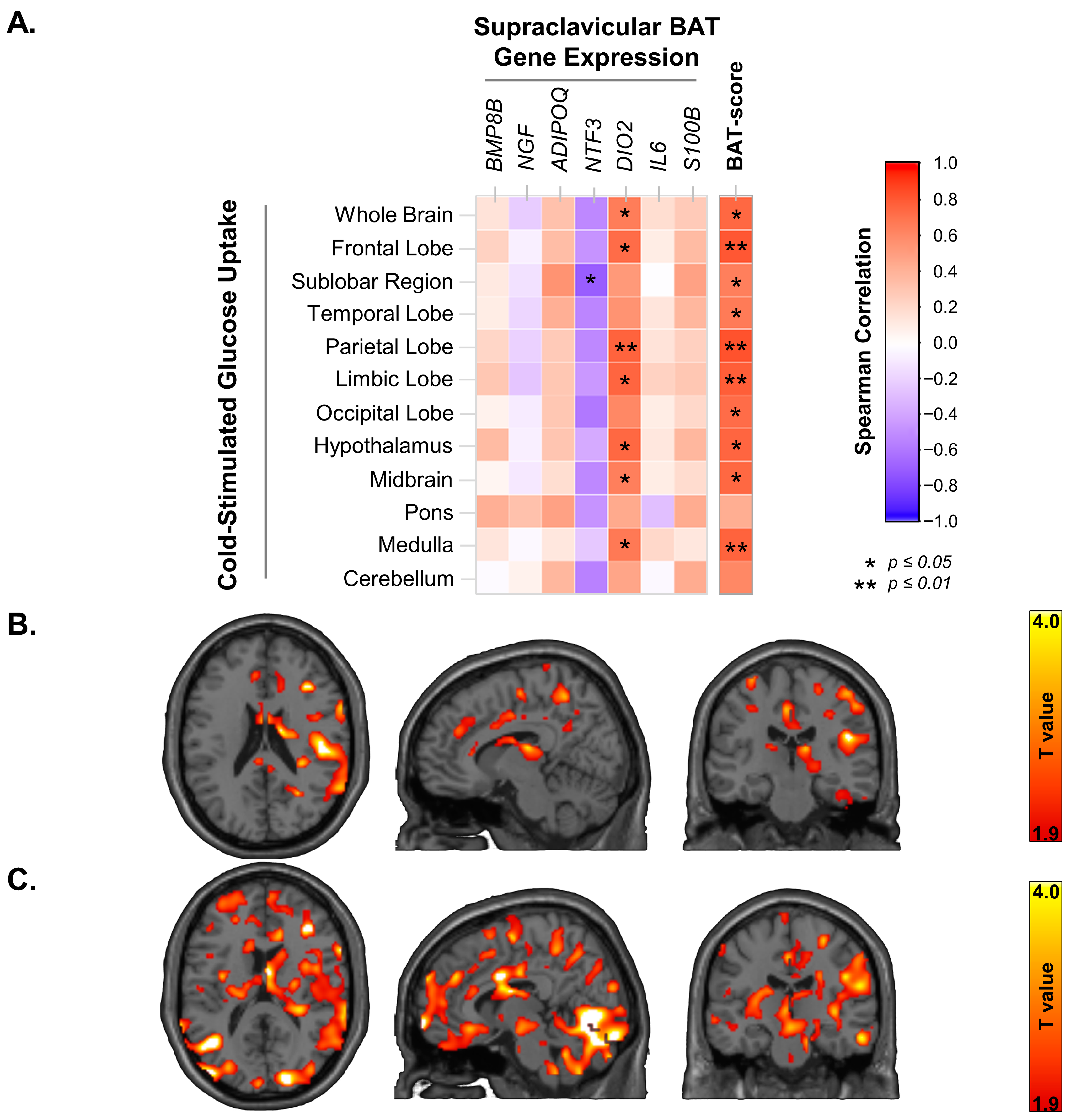 Metabolites 13 00387 g003