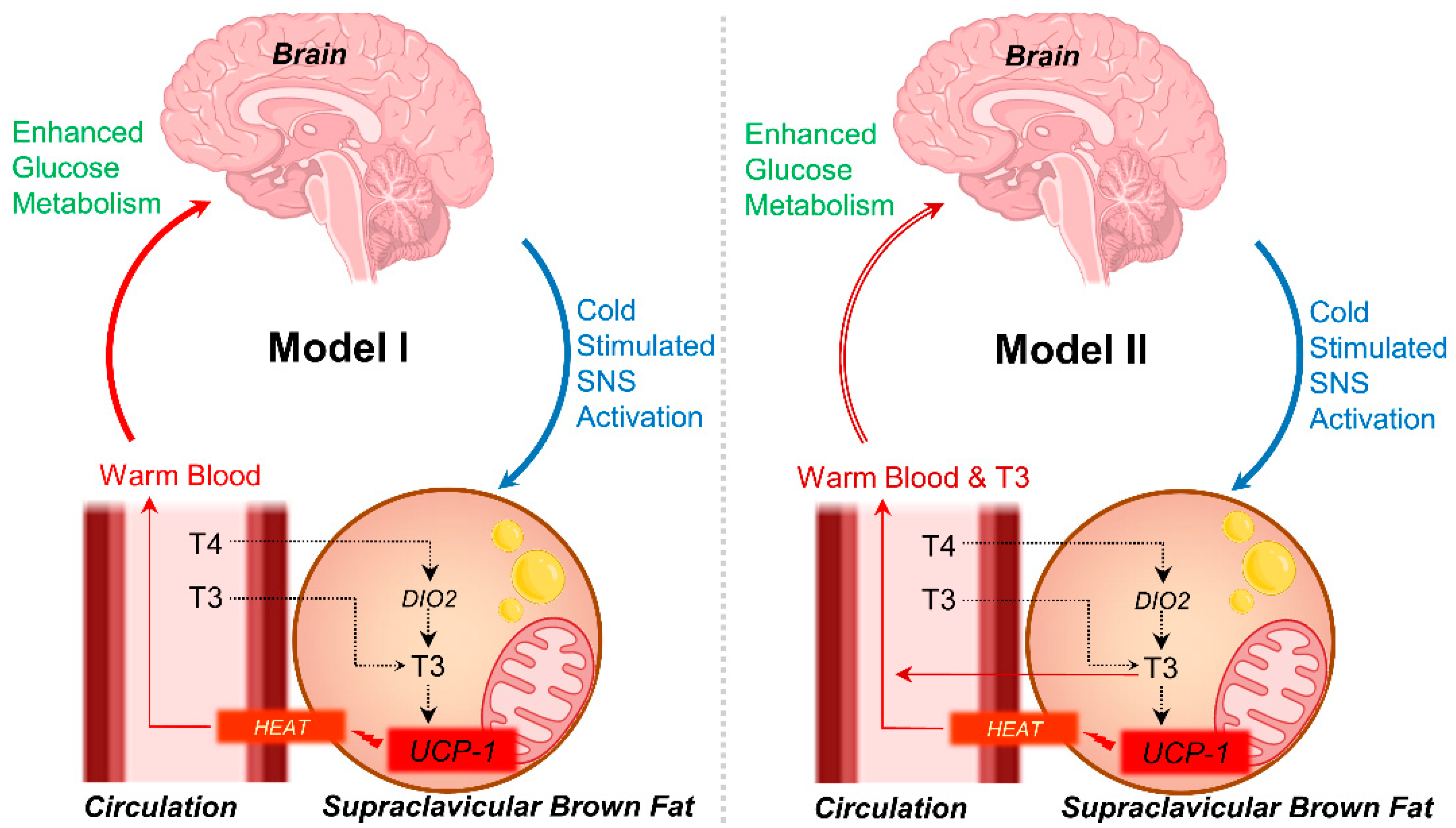 Metabolites 13 00387 g004
