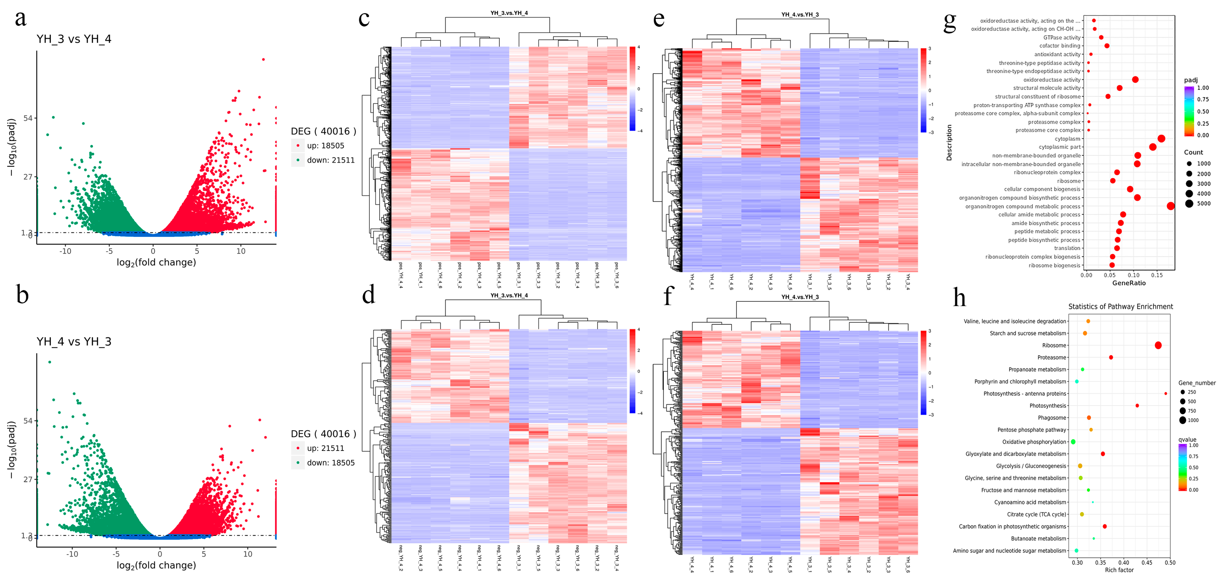 Metabolites 13 00388 g001 Metabolites 13 00388 g001