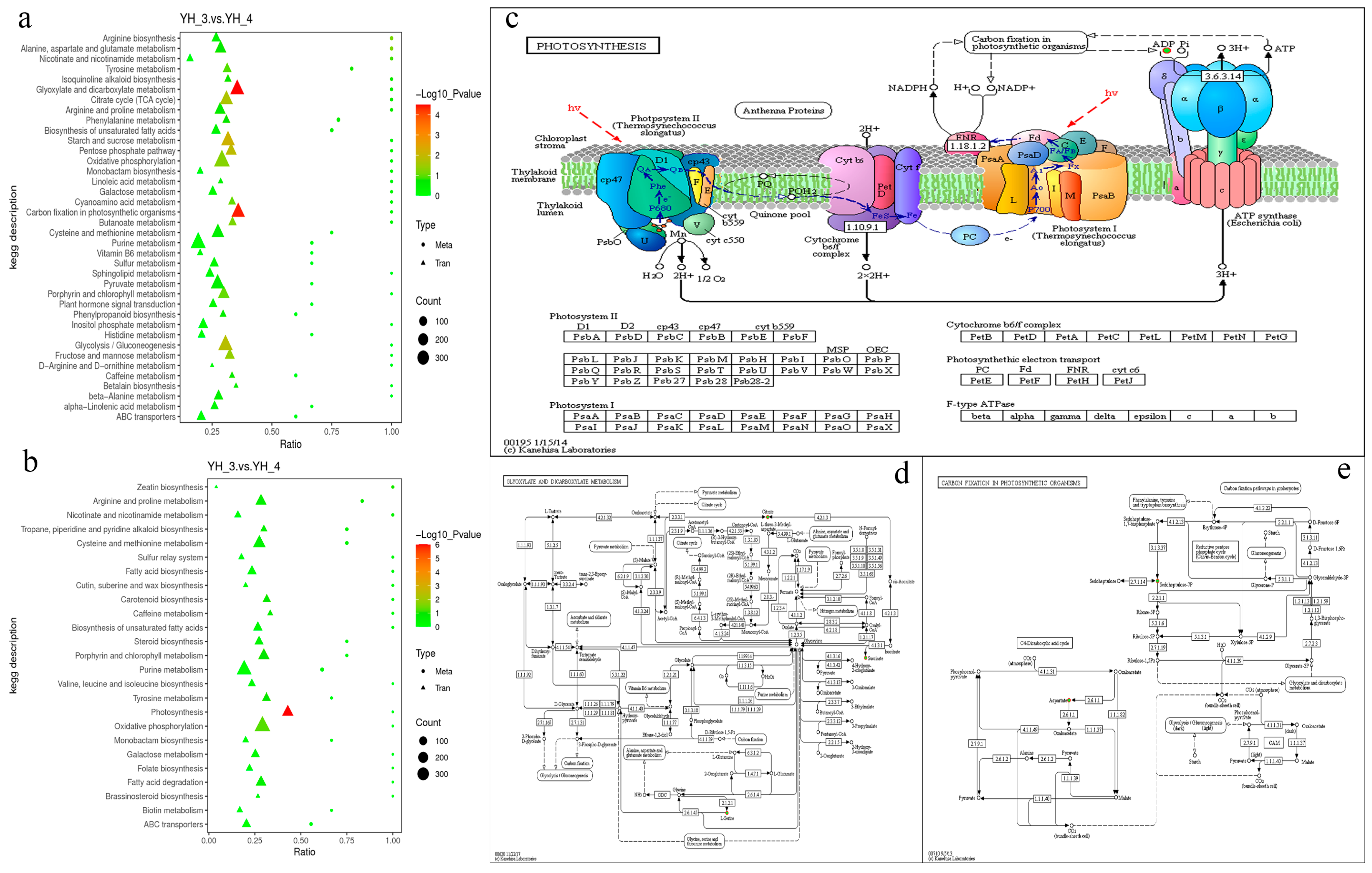 Metabolites 13 00388 g006 Metabolites 13 00388 g006