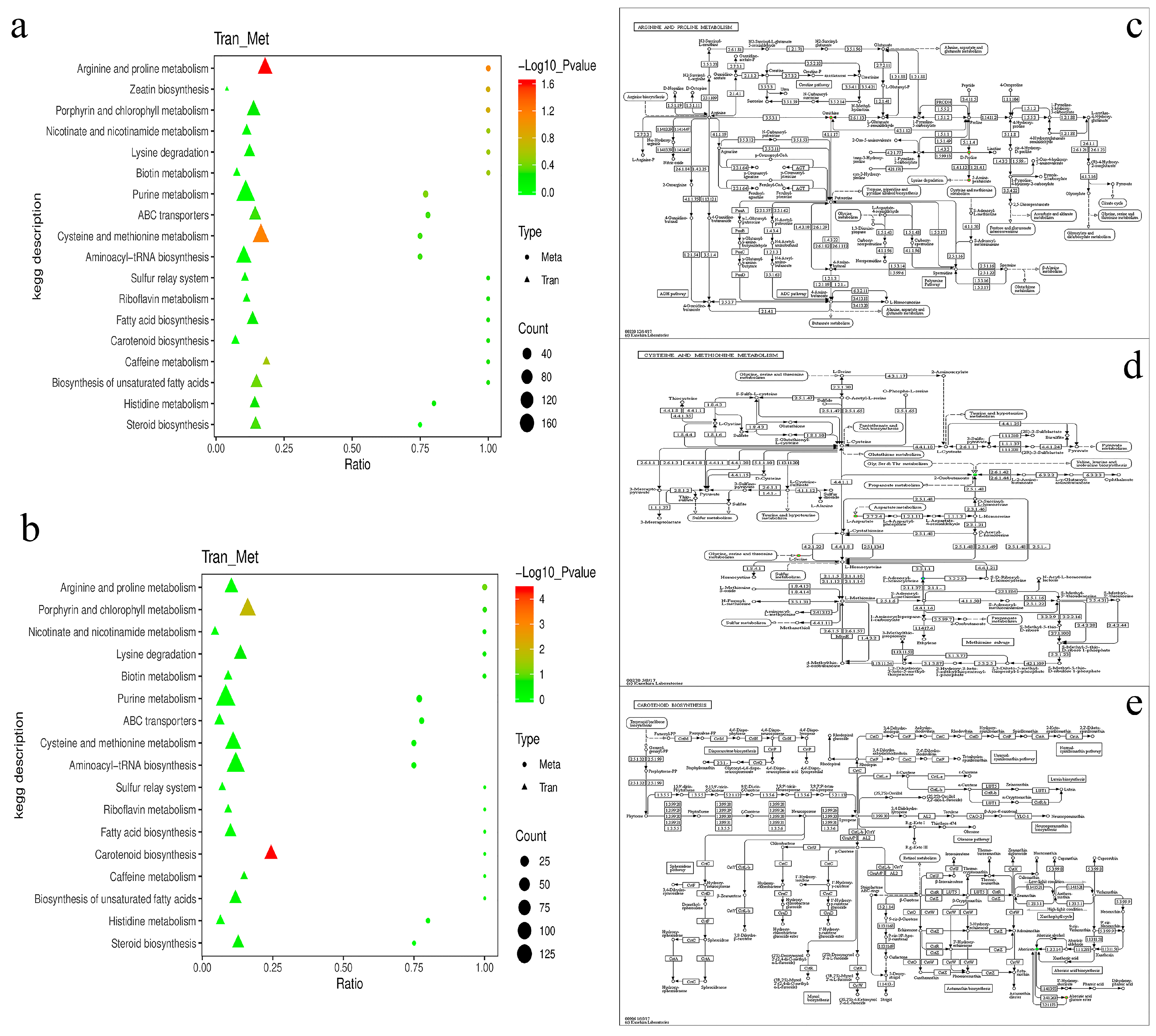 Metabolites 13 00388 g007 Metabolites 13 00388 g007