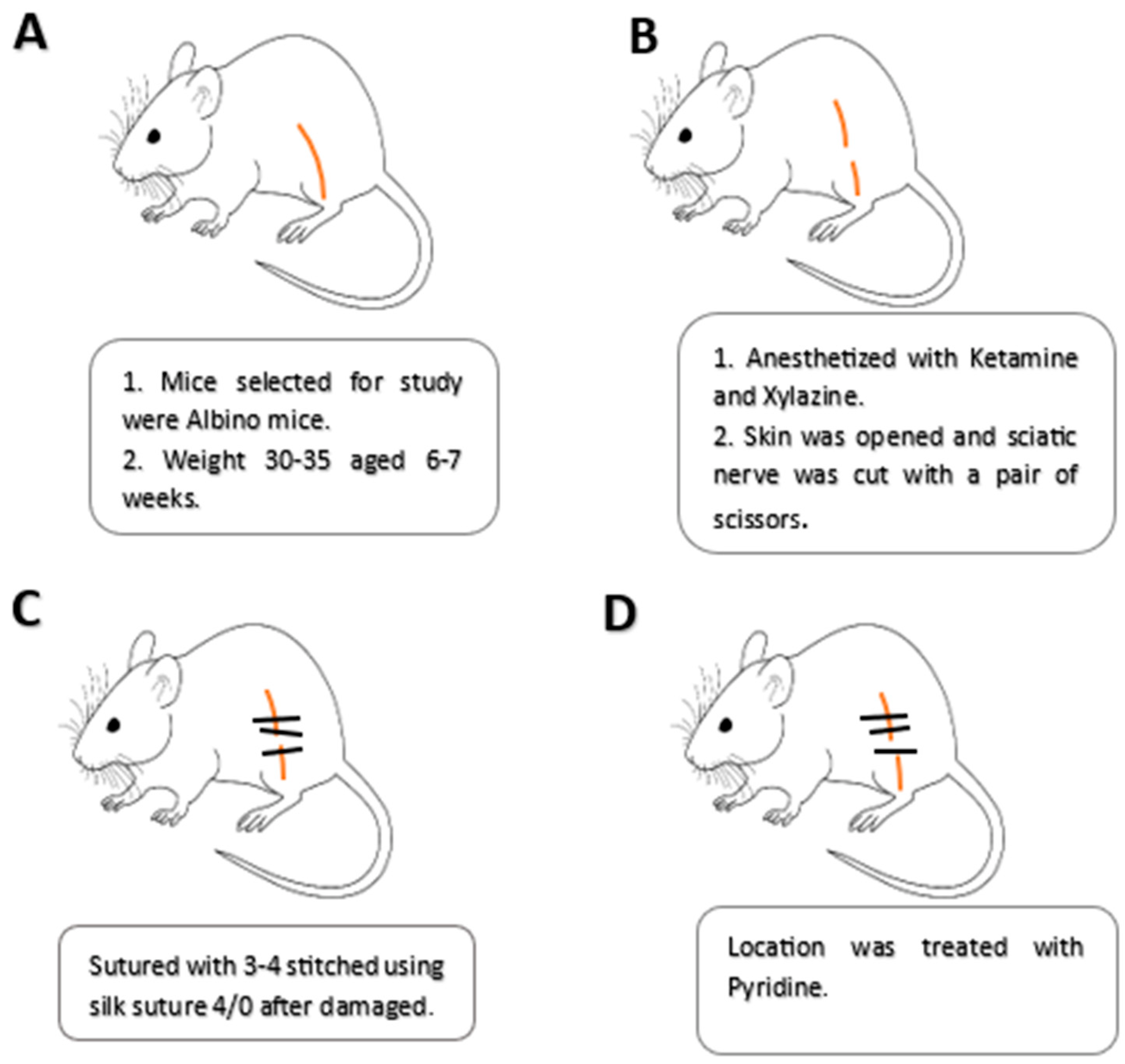 Metabolites 13 00391 g001