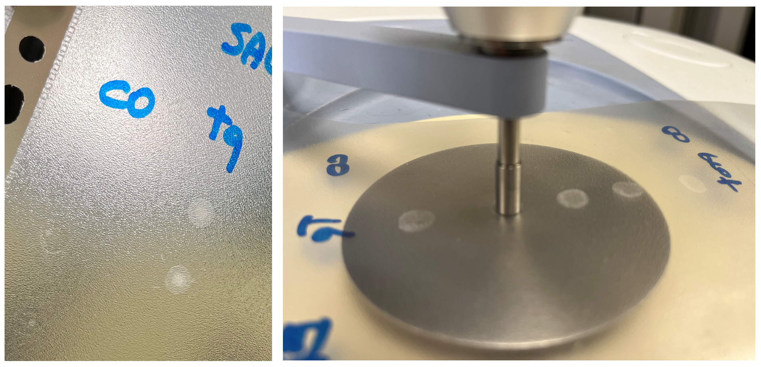 Metabolites 13 00393 g001