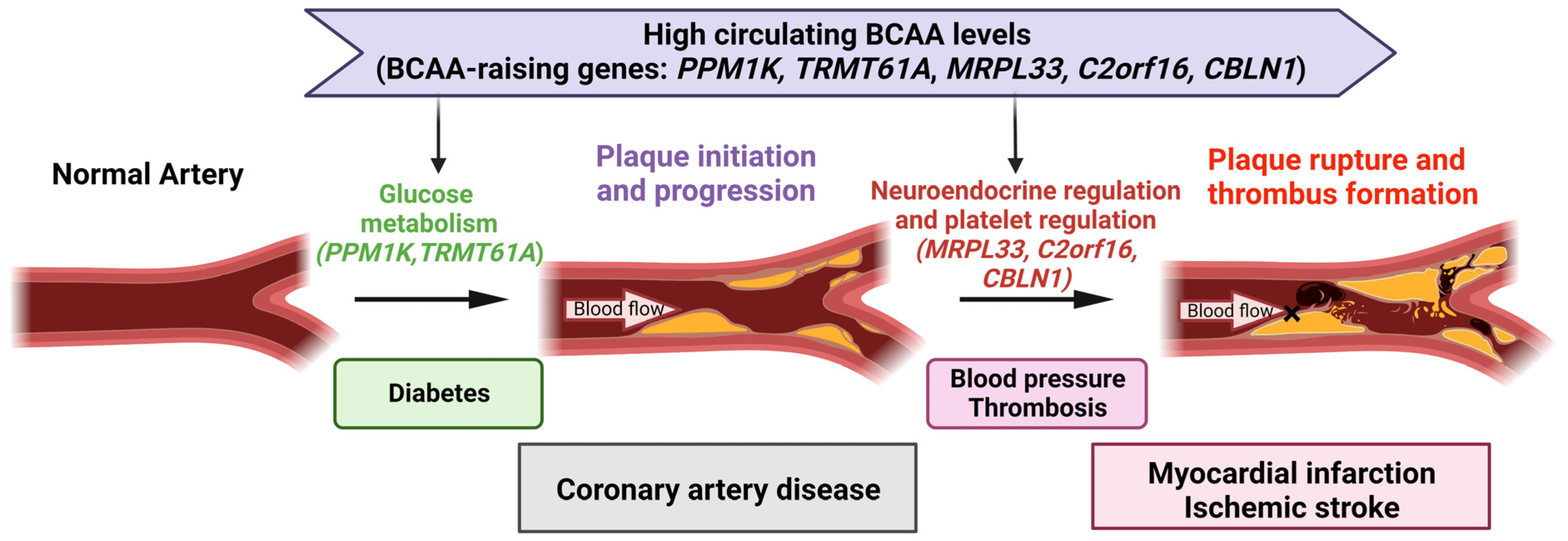 Metabolites 13 00403 g004