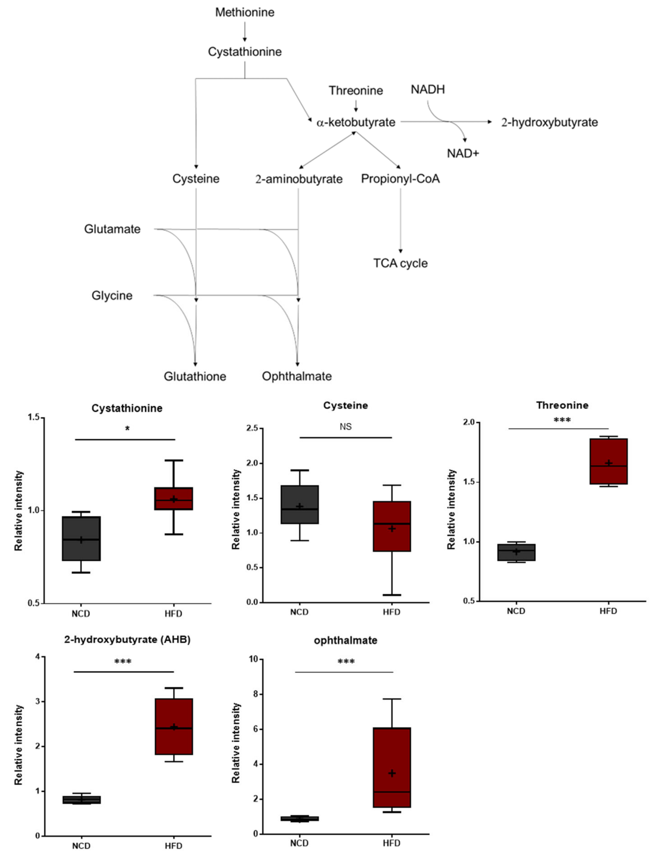 Metabolites 13 00407 g004