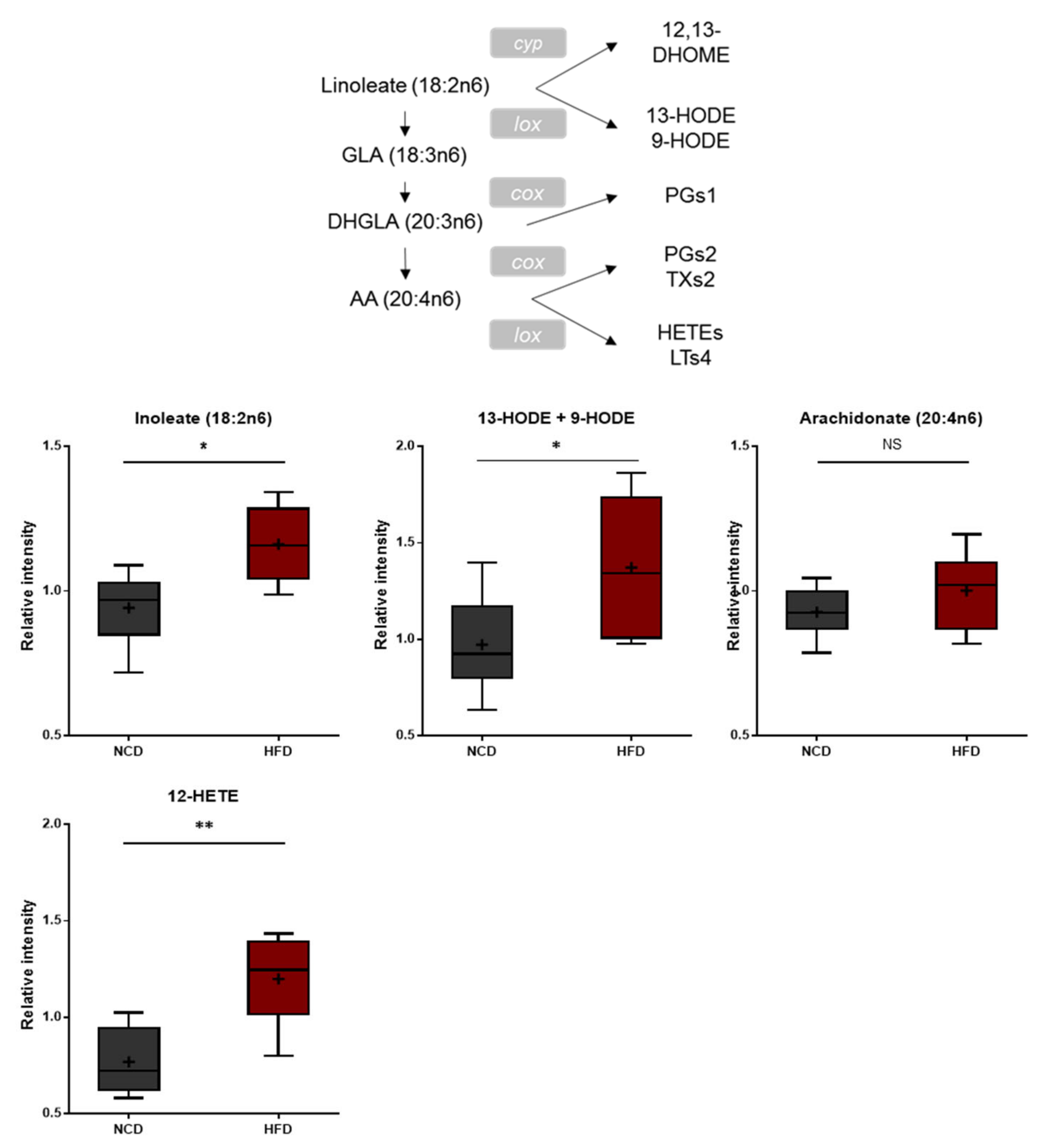 Metabolites 13 00407 g005
