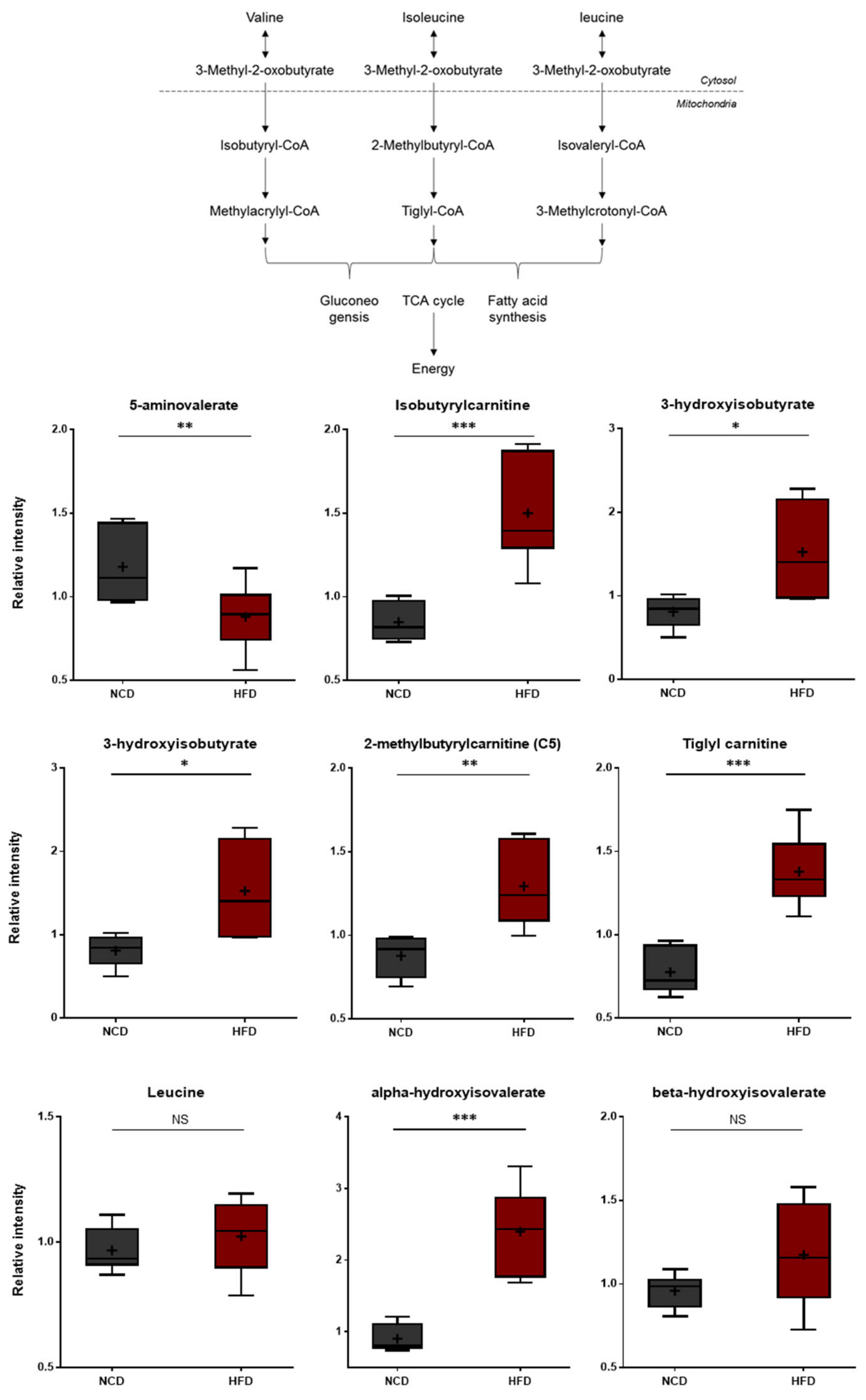 Metabolites 13 00407 g006