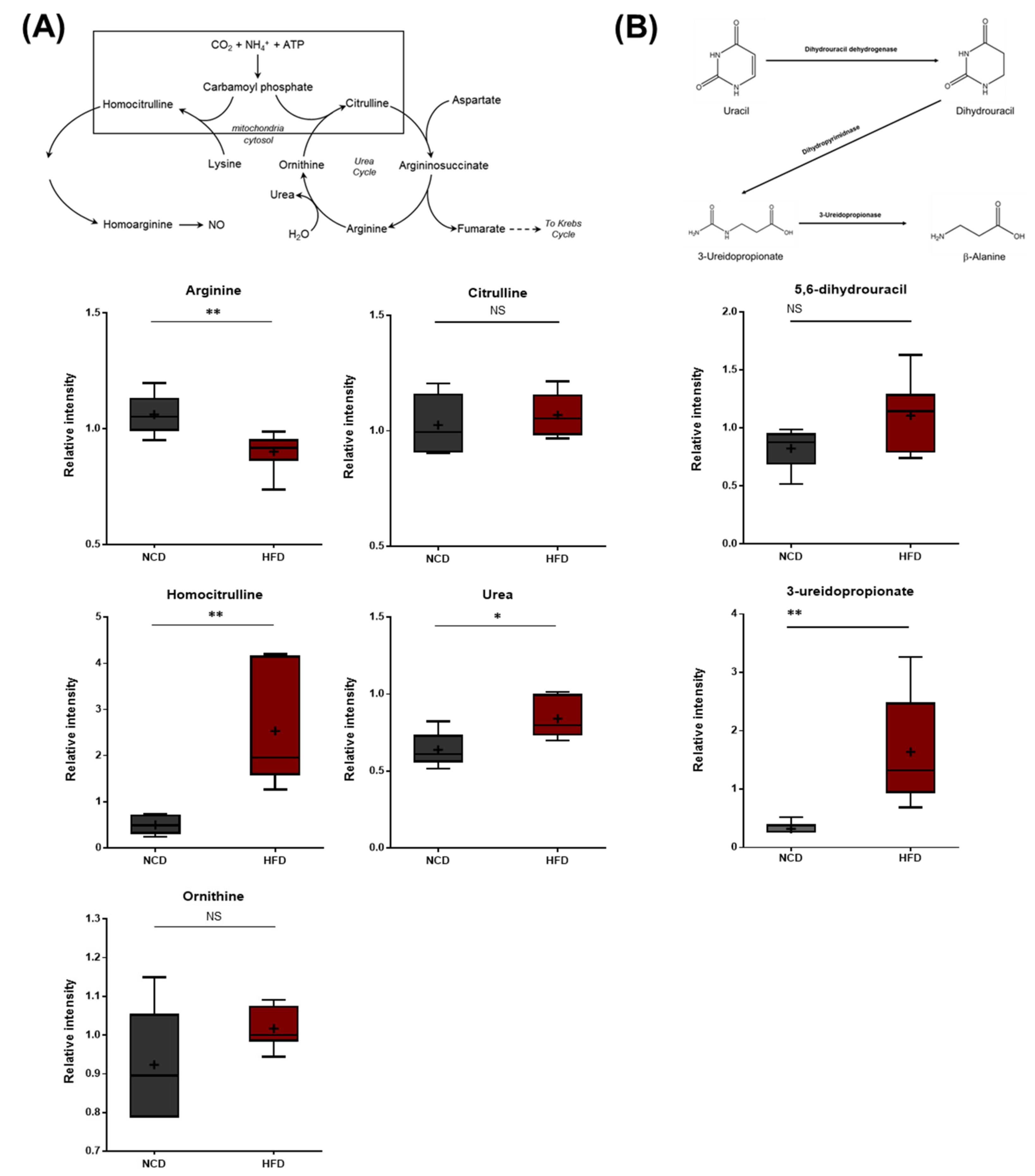Metabolites 13 00407 g009