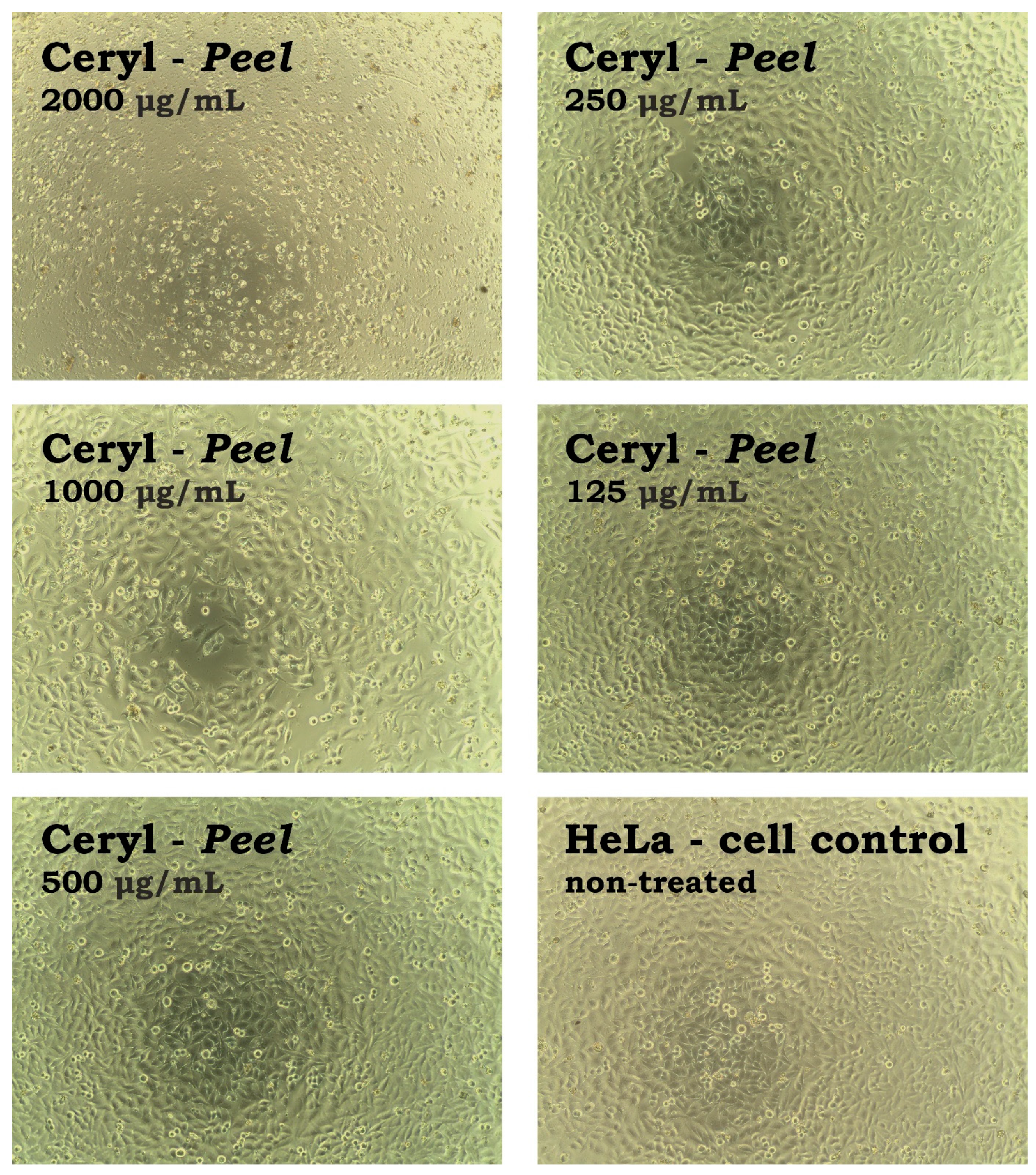 Metabolites 13 00408 g007